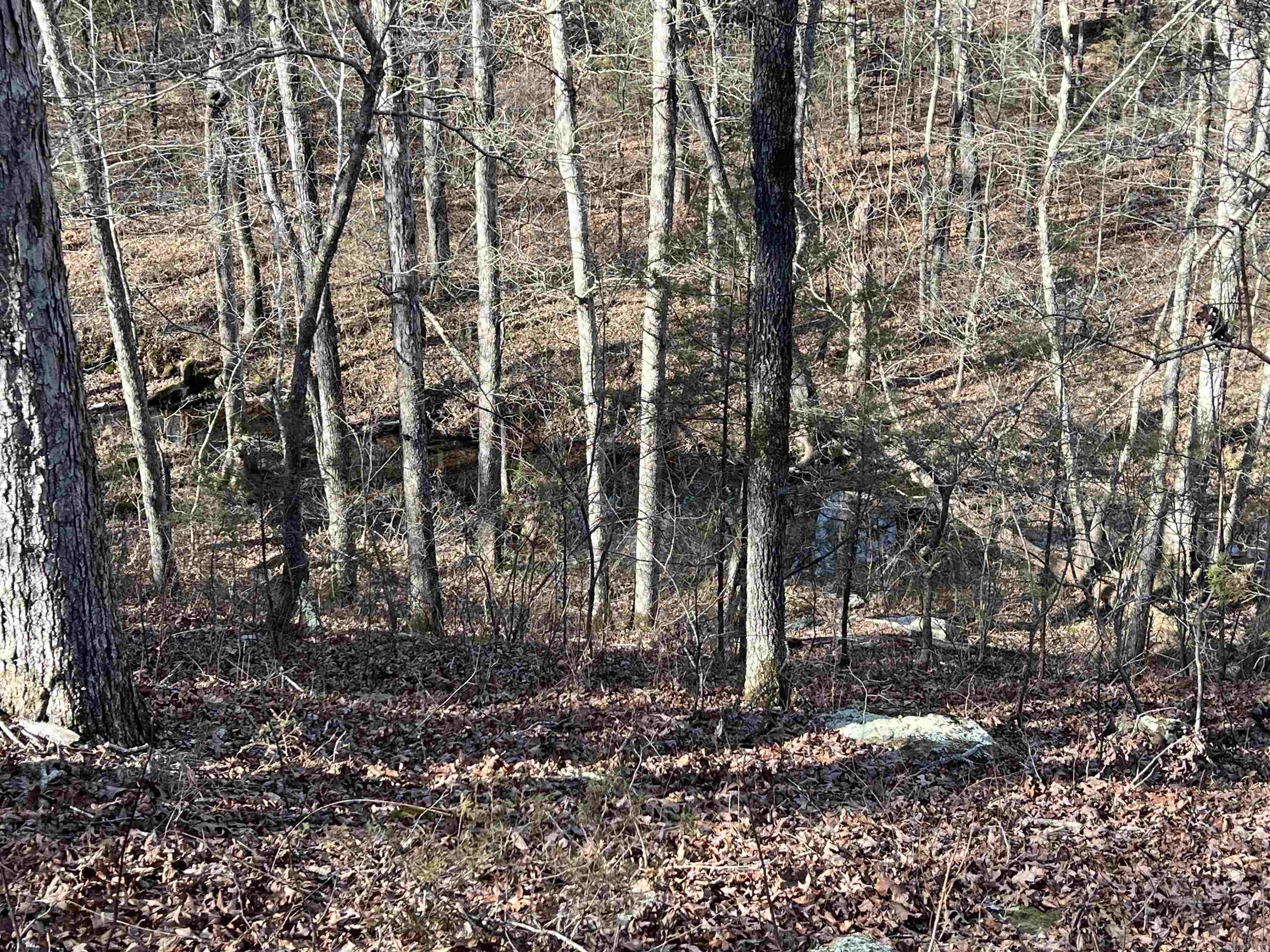 Metes & Bounds - Land