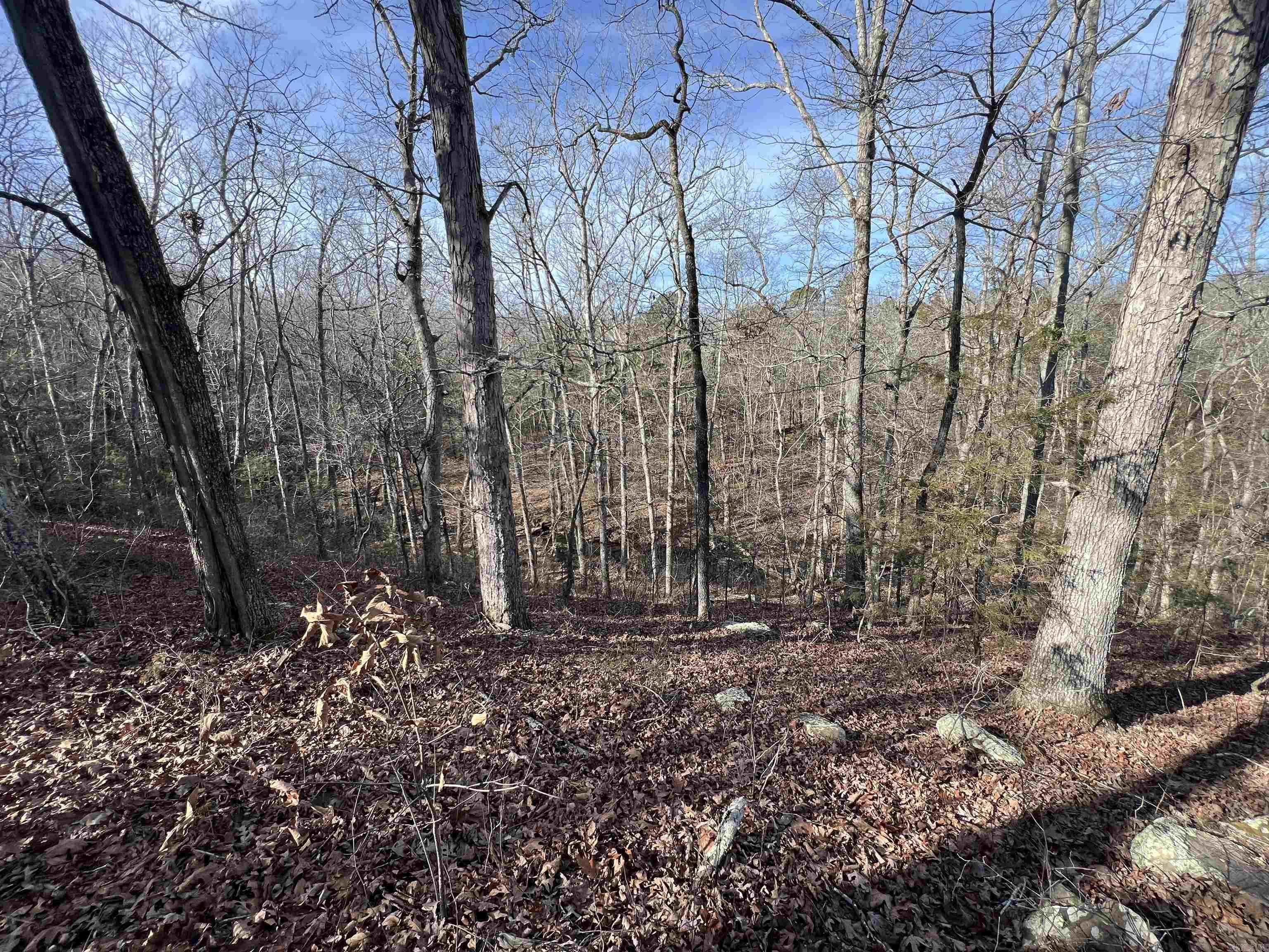 Metes & Bounds - Land