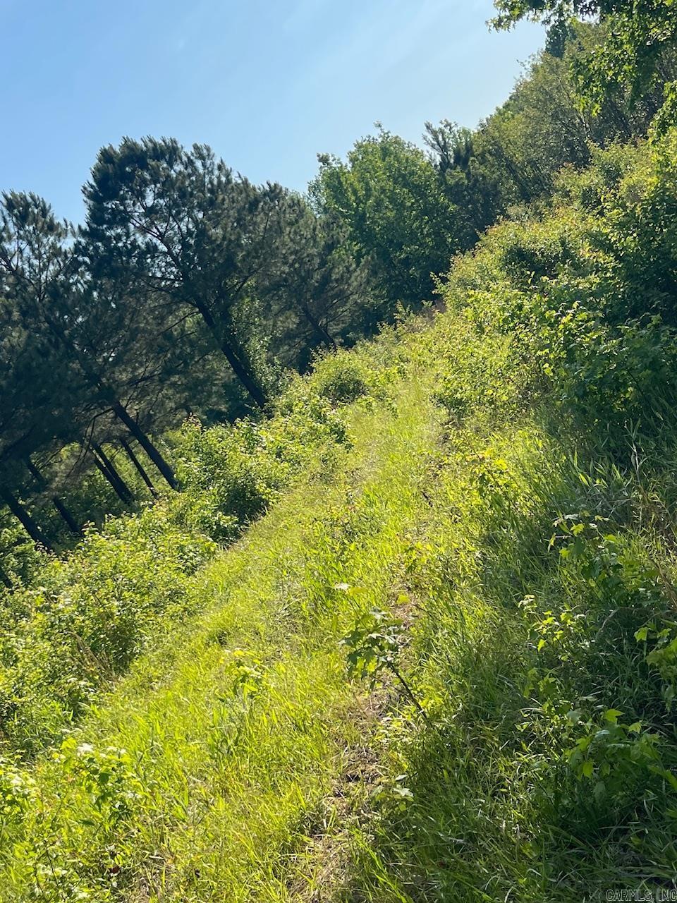 Noine - Land