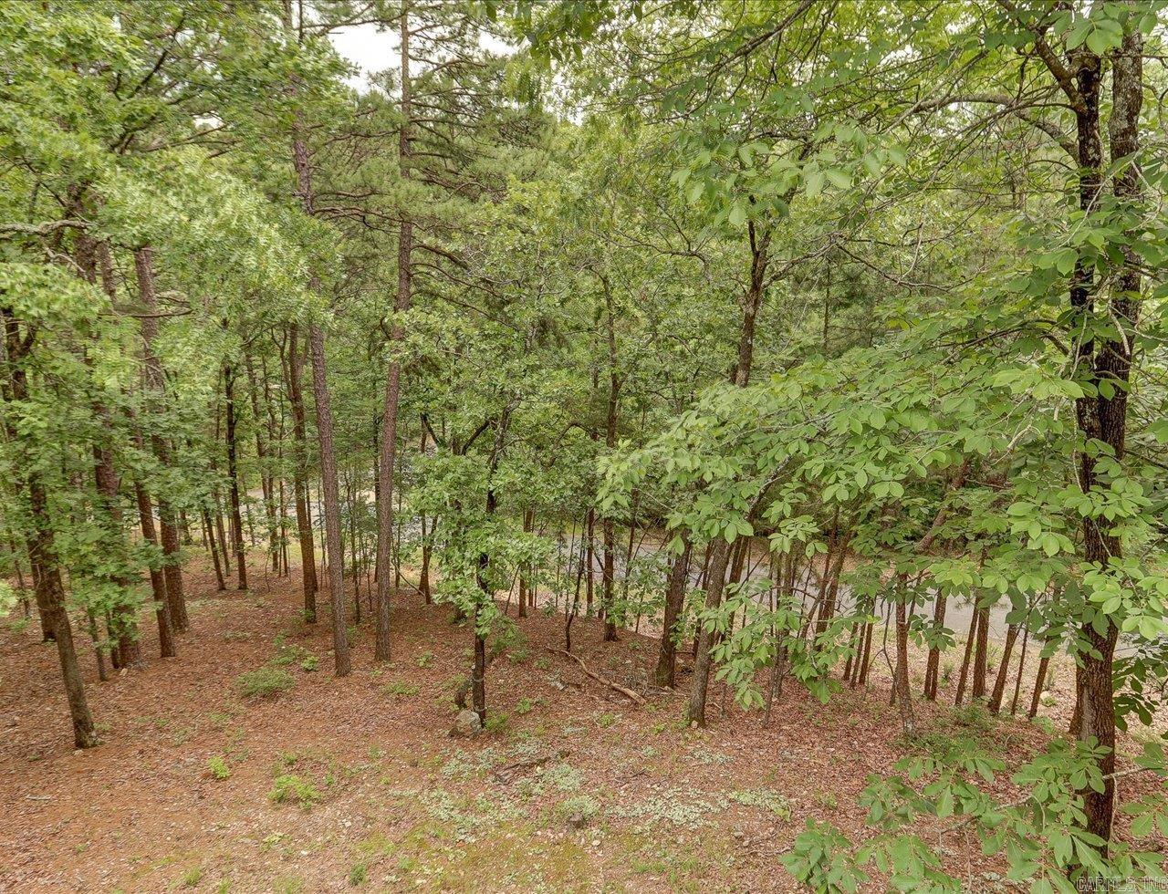 DIAMONDHEAD - Residential