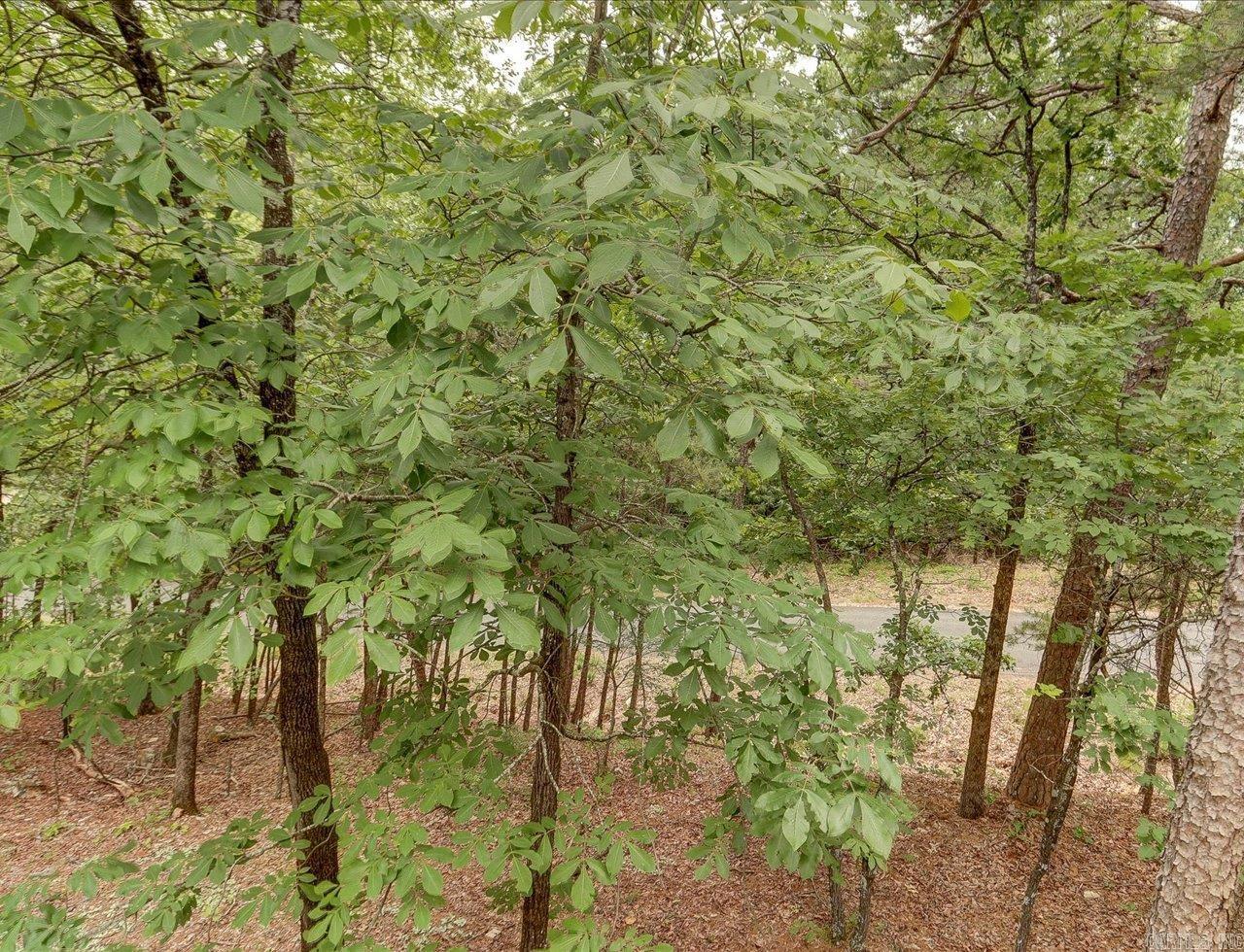 DIAMONDHEAD - Residential