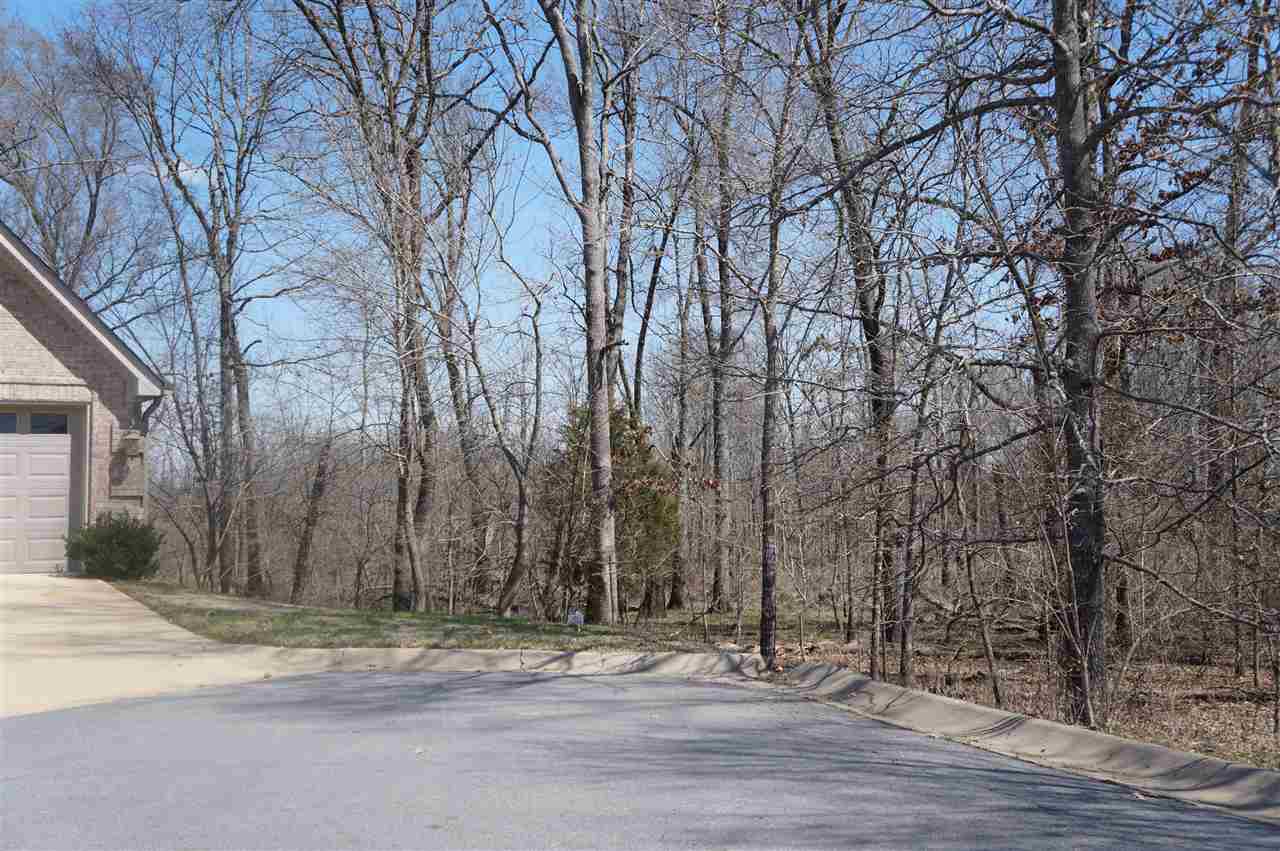 COUNTRY CLUB OF ARK THE - Residential