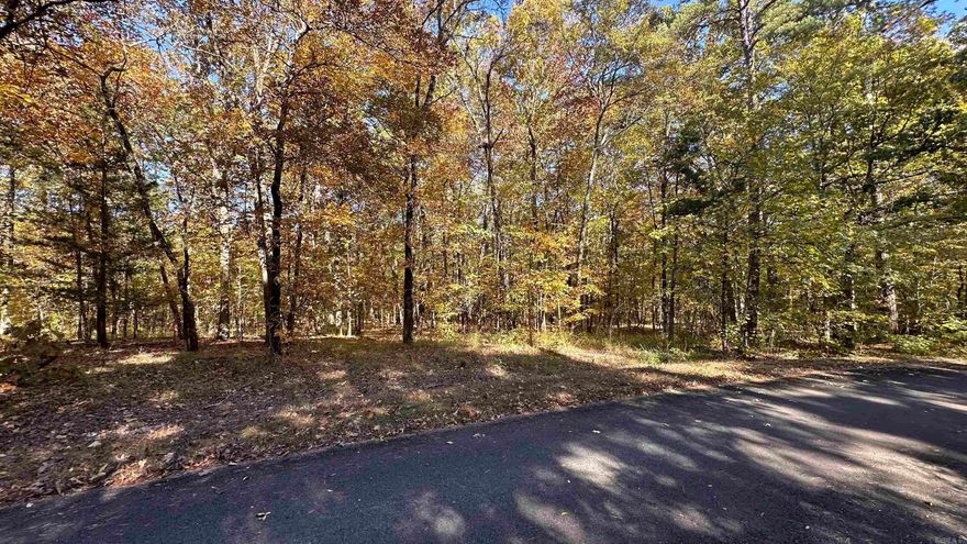 Secluded wooded lot only a few minutes from Lake Balboa!