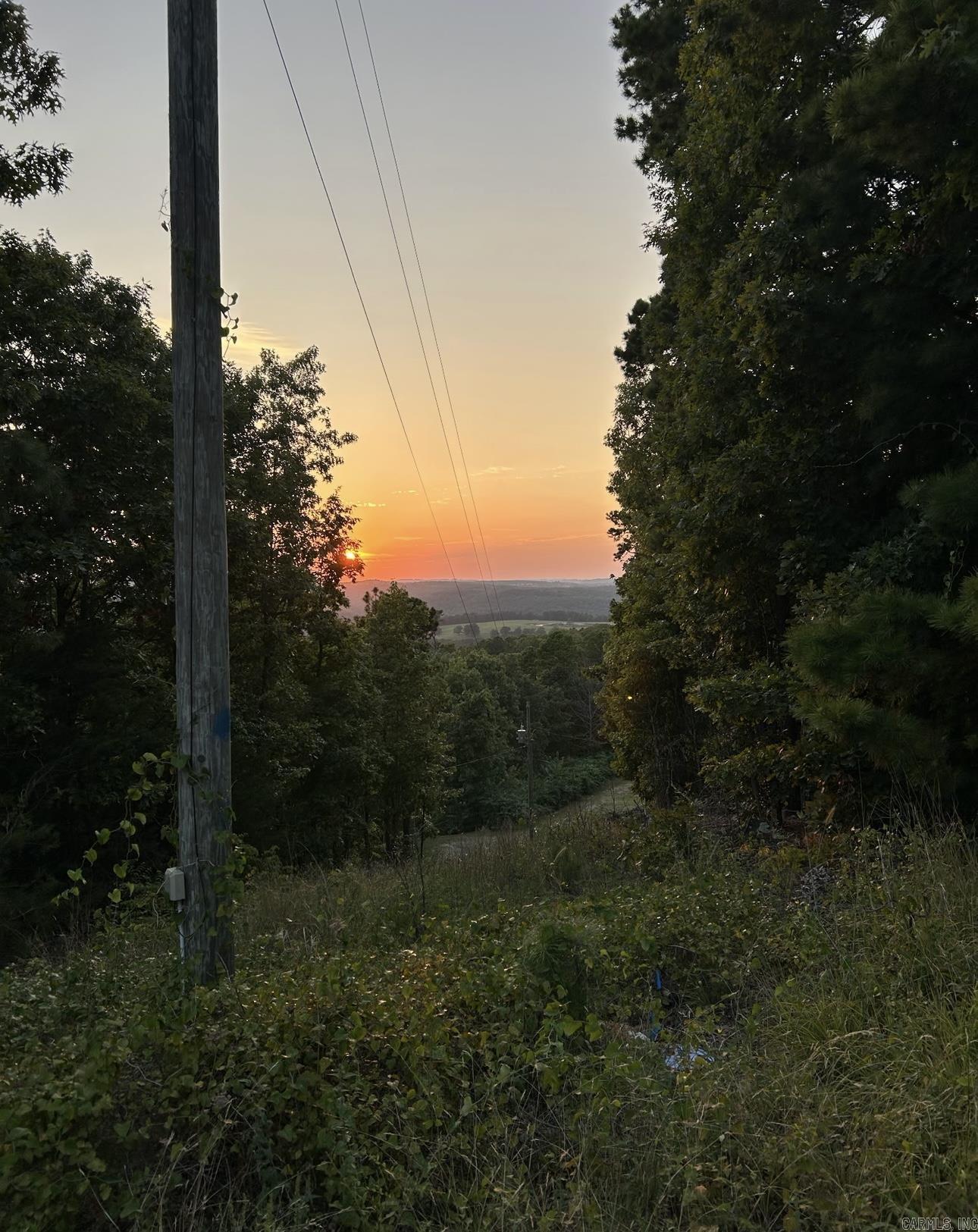 Hey make a move to Rural Arkansas and Imagine owning about 1.25 + or - acres of the Ozark Mountains that's located with US HWY 65 aka Branson Tourist HWY at the bottom and at the top where a building site would be fronting rural HWY 110 and a potential awesome view with just falling out of love with a few trees. All the major utilities are at either highway. You can enjoy living in the mountains but only 8 minutes from downtown amenities of Clinton AR and 15 minutes from Greers Ferry Lake . In Clinton AR small town America you will find a great public school and Walmart , Doctors Clinics and Pharmacies and Hospital and great restaurants and big city park and to much to mention. This property would make a great place to pull in a mobile home or build a house .