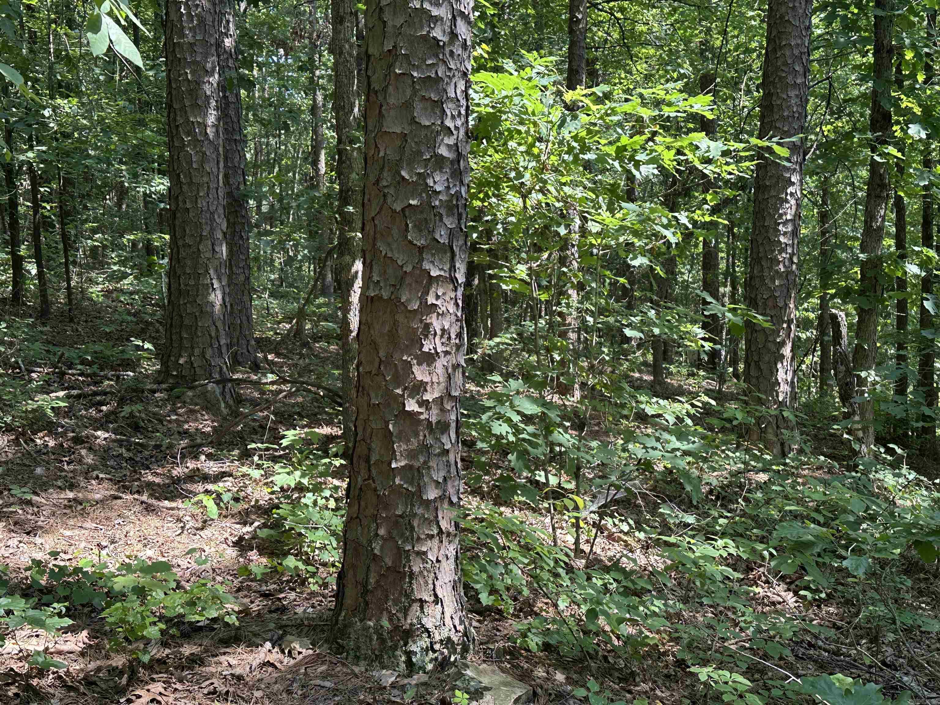 Metes & Bounds - Land