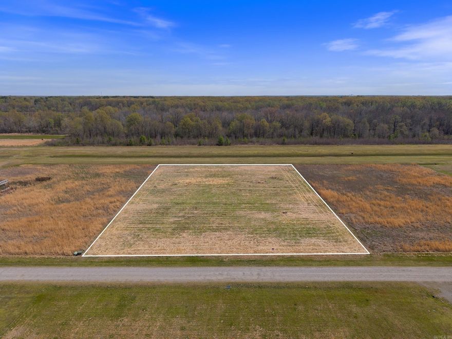 Discover the perfect spot to create your custom Hangar Home at Country Air Estates in Lonoke, Arkansas. Lot 40 is one of only three exclusive runway-frontage properties available, offering direct access to two well-maintained grass runways: Runway 18/36 (3,800 x 100 ft) and Runway 11/29 (2,500 x 100 ft). This flat, level lot comes equipped with water, electric, and a valid perc test, making it ready for your vision. 1.6 acres positioned with its backside along the taxiway, you can seamlessly taxi into your own hangar. Enjoy the convenience of being just 2 minutes from I-40 and a quick 14-minute drive to North Little Rock. Say goodbye to hangar and landing fees—build your aviation haven and see this unique lot for yourself today! Agents see remarks & docs tab for survey.