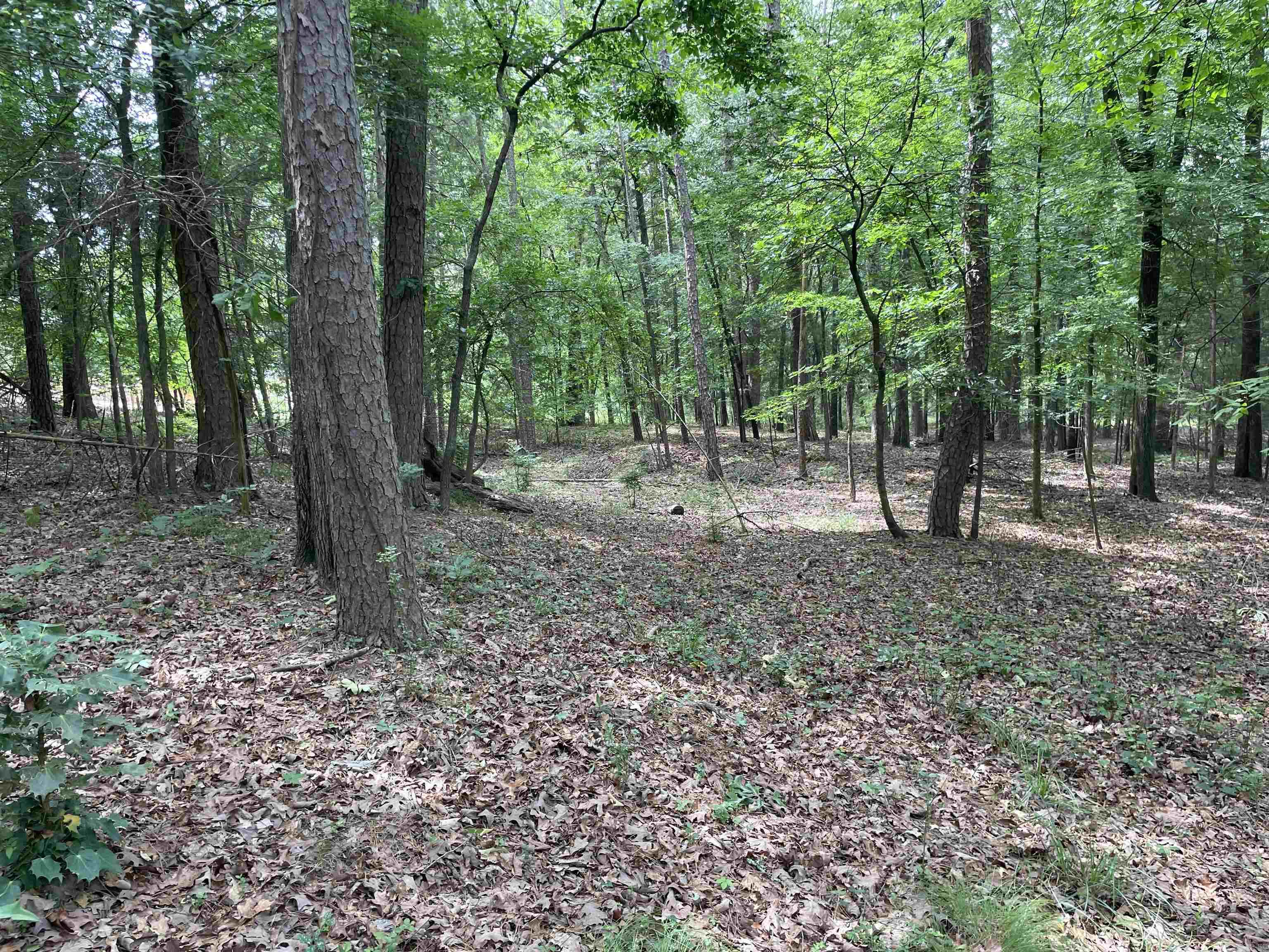 Embrace the serenity of lakefront living on this pristine 0.40-acre lot, boasting 100 feet of breathtaking water frontage and a generous 175-foot depth. Nestled on the tranquil shores of Greers Ferry Lake, this property offers an unrivaled opportunity to build your dream home in a picture-perfect natural setting. This is your chance to own a slice of lakeside paradise and create a lifetime of cherished memories.