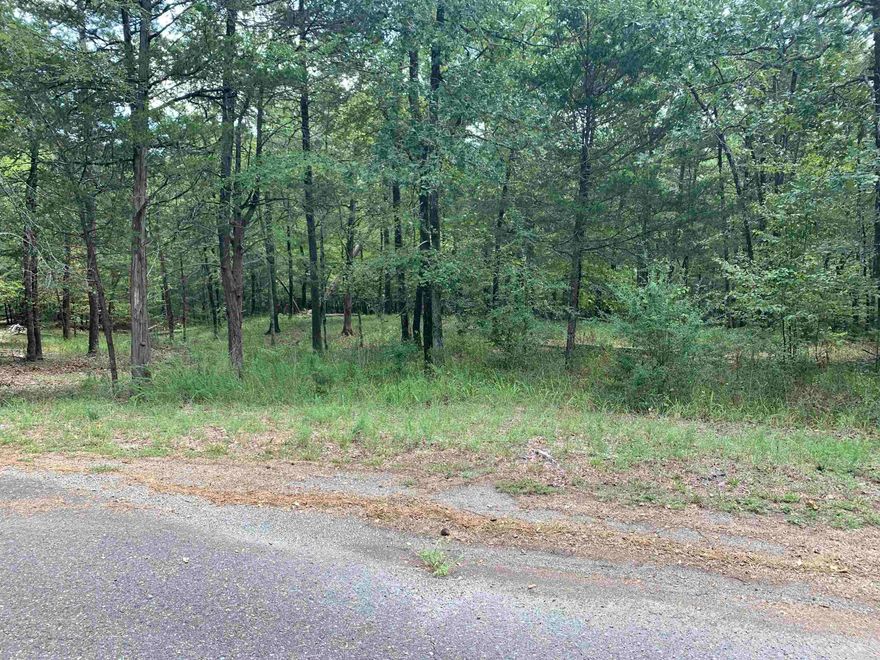 Beautiful building lot in Hot Springs Village. Make this one yours and begin enjoying all the Village amenities. New buyers to the Village have a $300.00 buy in fee payable to the POA at closing.
