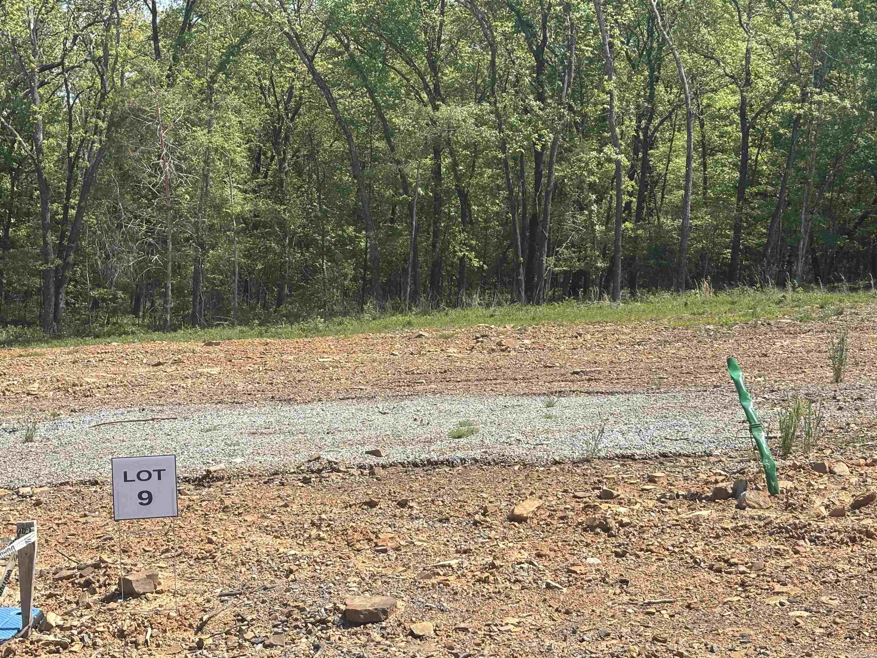 Lot 9 of George's Crossing - Welcome to an ideally located NEW subdivision in Austin, AR - Located within the Cabot School District. This subdivision has a minimum square footage of 1,700 sq ft and will feature quality built homes. The ideal location is 1-2 min off 67/167/I57 and is also within 2-min of the newly built Cabot Pre-K campus too! Not to mention being within less than 10-minutes to dining, shopping, schools, and the ever growing in popularity, Game Time at The Grounds sports complex! Do not forget you can also be golfing in 10-minutes too at one of two of Greystone's Golf Courses! We have builders for you too!