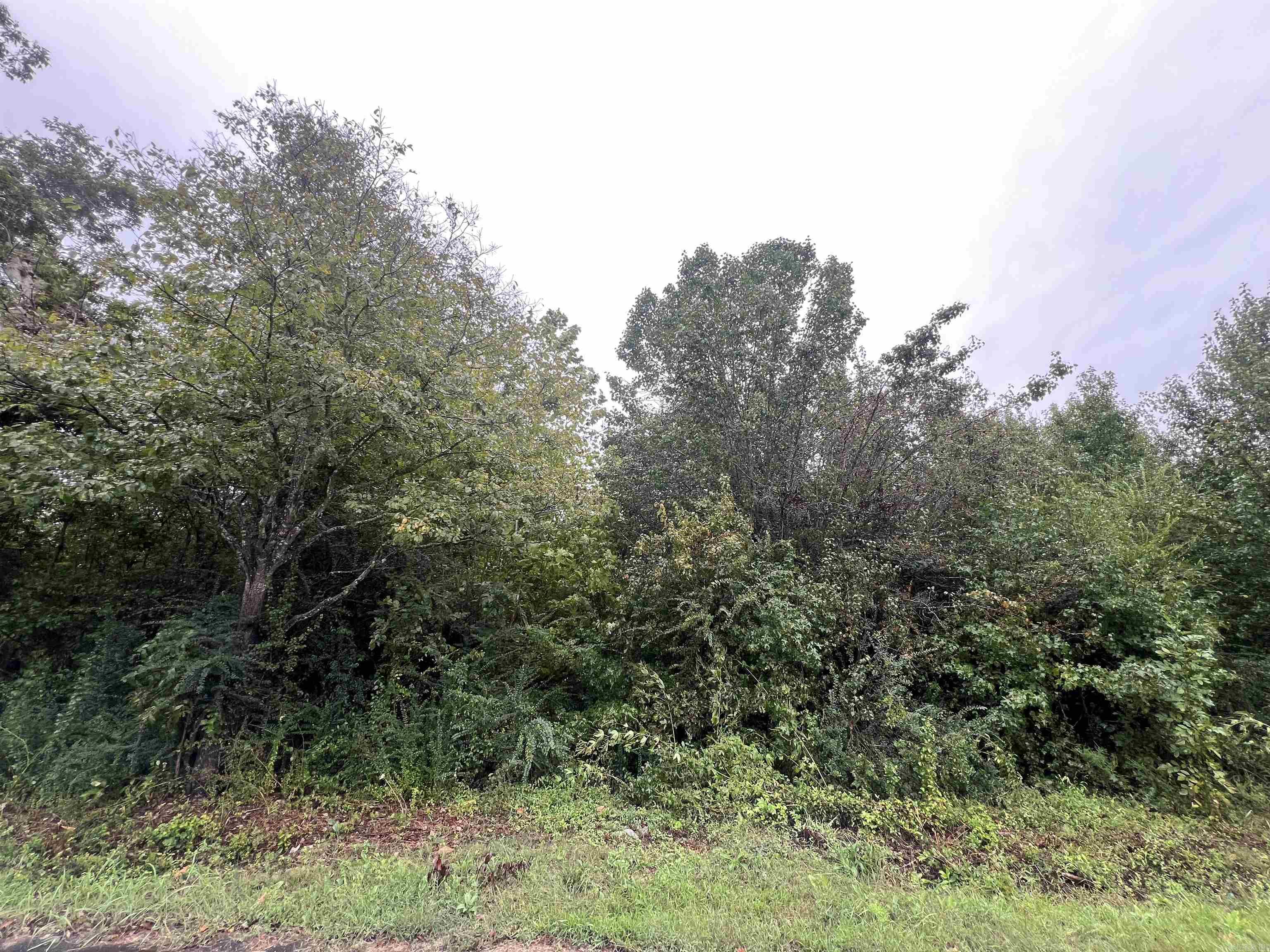 BEEBE OUTLOTS - Land