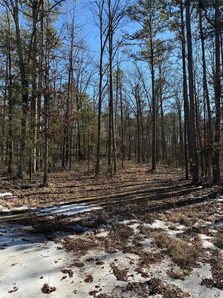 Are you looking for the perfect wooded oasis for hunting, building/placing a home, or just some REST AND RELAXATION? THIS IS IT!!! Water and electric at road.
