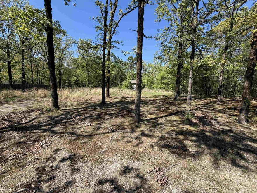 Build Your Dream Home on 1.49 Acres in Happy Valley! Discover this 1.49-acre lot located at 74 Happy Valley Drive, perfectly positioned between Conway and Mayflower. This property offers a great opportunity to build a new home while enjoying the balance of peaceful country living with convenient access to the city. With an easy commute to Conway and Little Rock, you’re just minutes from shopping, dining, schools, and major highways. Enjoy the space, privacy, and flexibility that come with acreage, all while staying close to everything you need. A fantastic homesite for those seeking room to breathe without sacrificing convenience.