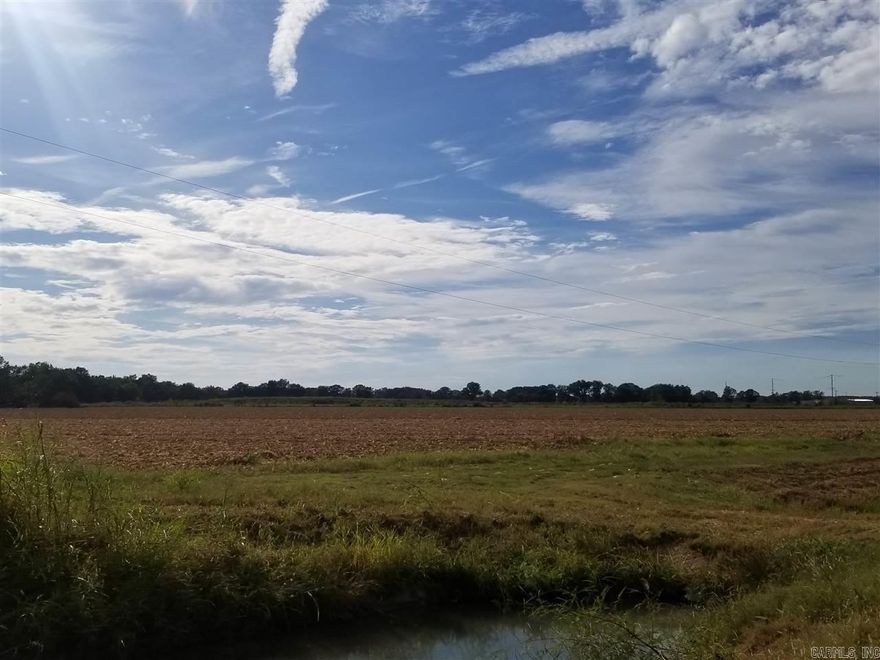 Acreage for development located next to Love's Truck Stop on Highway 463.  Located south of I-555 and seller will consider dividing acreage.  Located within city limits and zoned C-3.