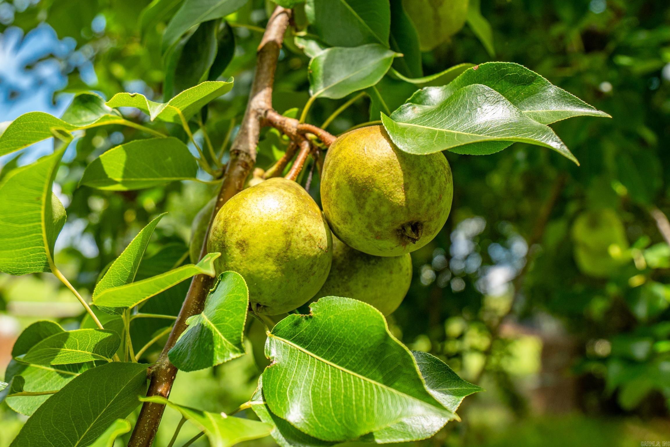 Poplar Hills #2 - Residential