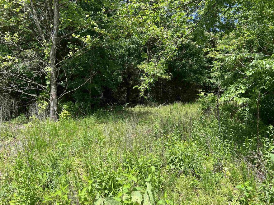 Great location on a paved road and only 3.5 miles to Baker Ford access point on the Buffalo National River Park. 5 Acres with no restrictions, nice building site, electric available, and rural water available.