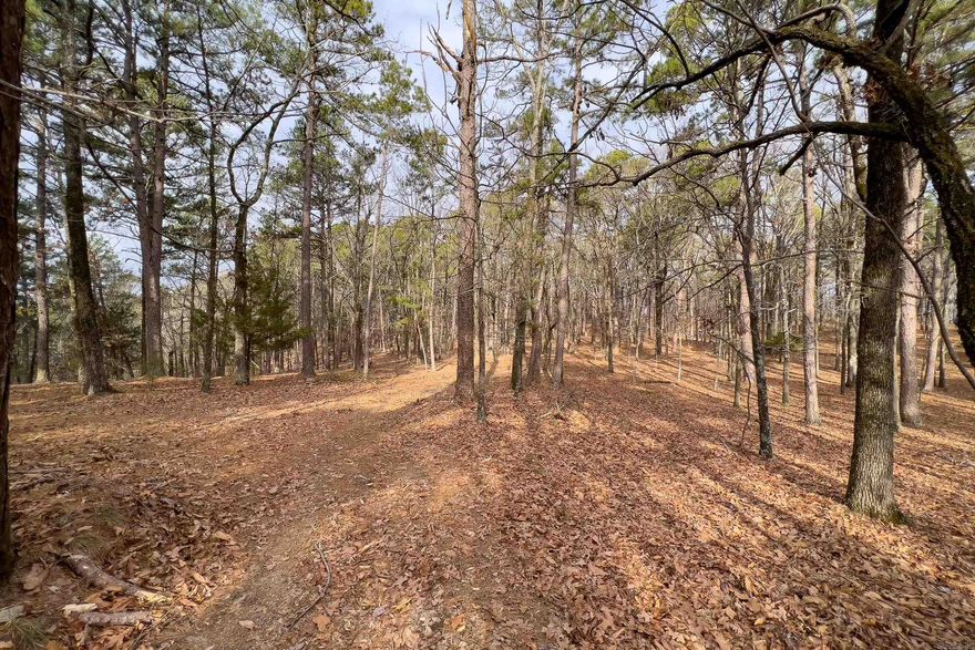 One of the LAST RIDGES undeveloped in Little Rock Area, 142+/- acres with Fabulous Views of Pinnacle Mt and the Little Maumelle River. Would make an amazing subdivision or beautiful estate sites. MANY BEAUTIFUL HOME SITES through out the property. See AGENT Remarks and Call Listing Agent for any questions.  Will need 4 Wheel Drive to drive through the property.