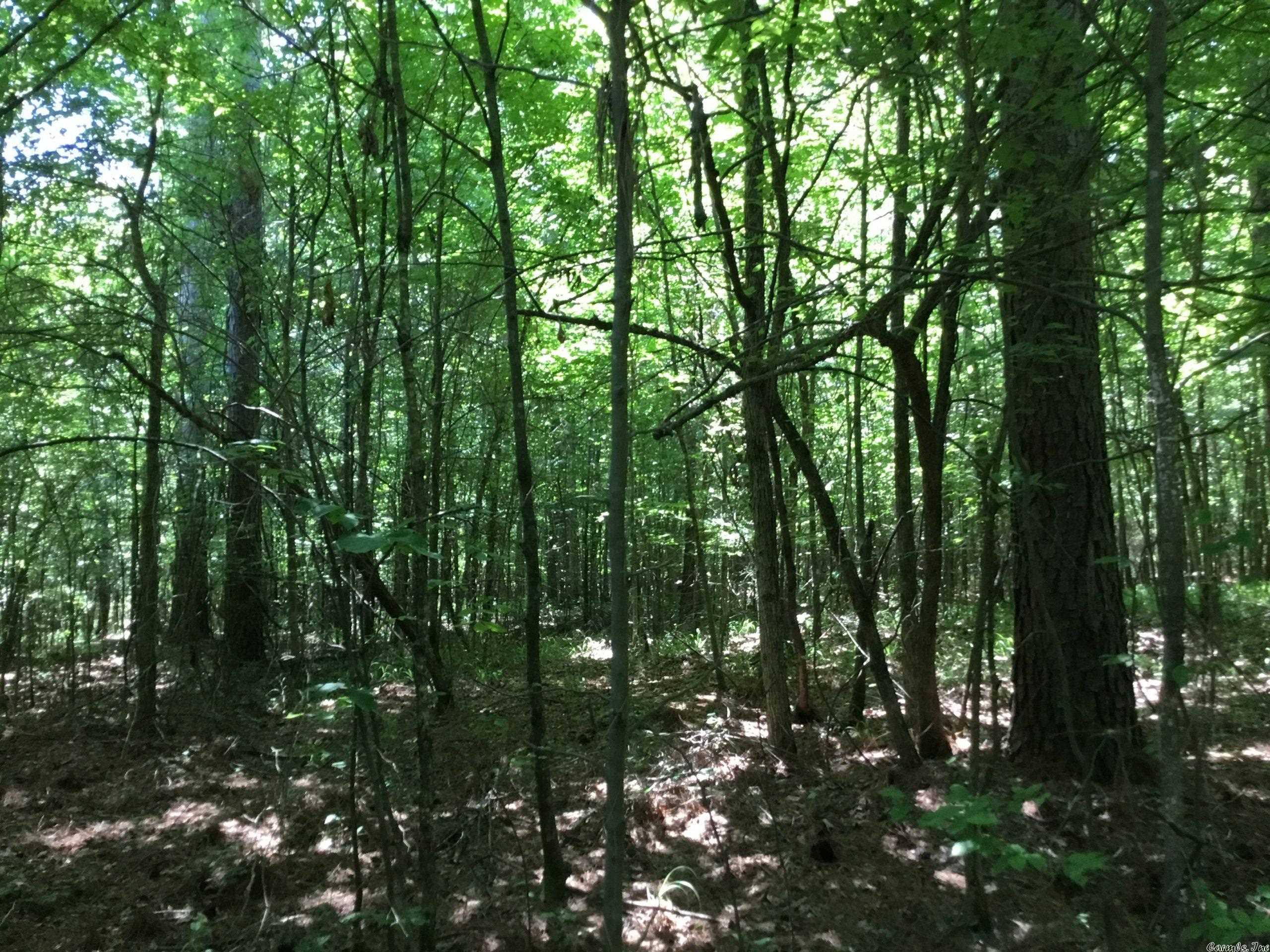 West Little Rock - Land