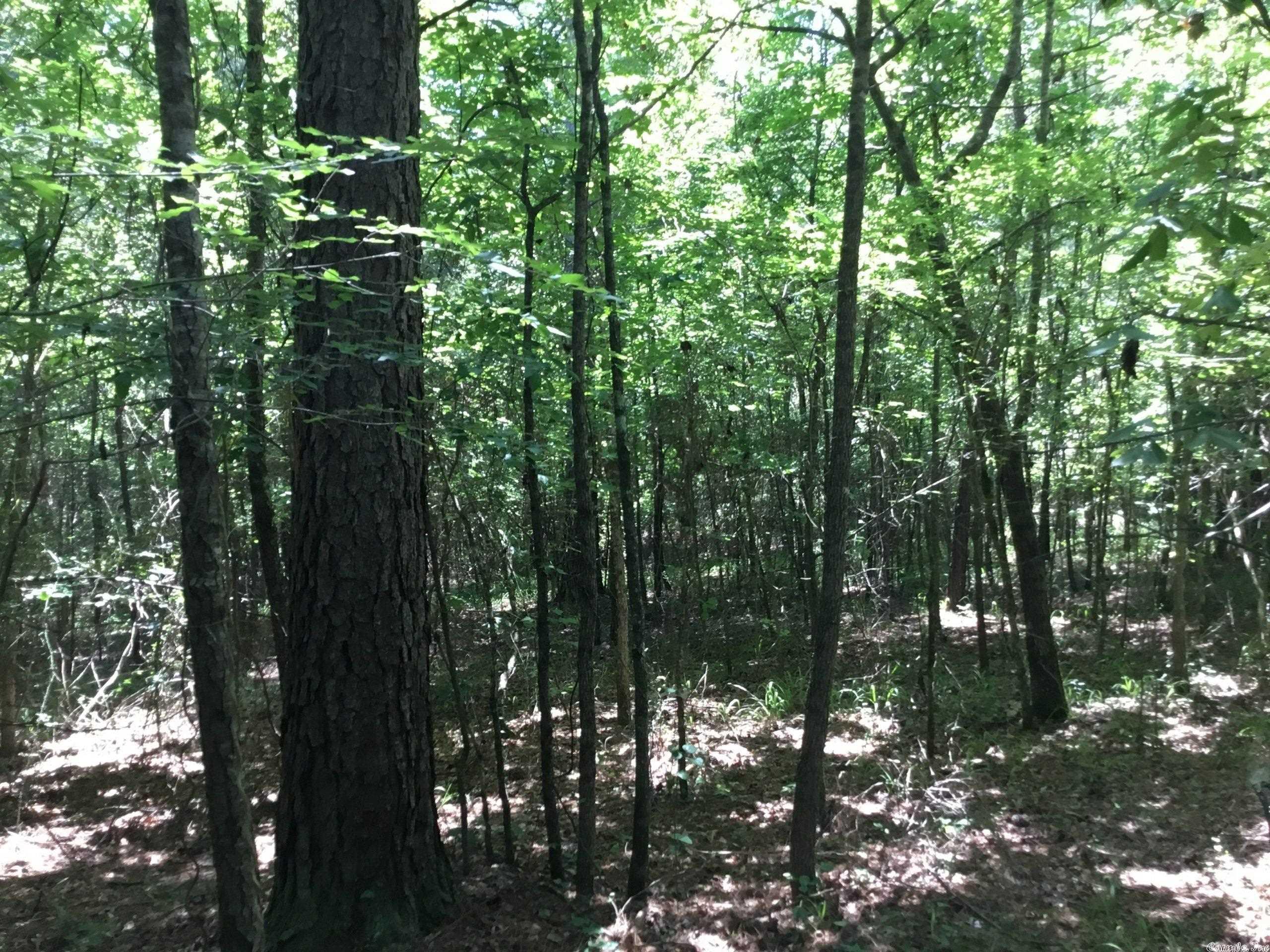 West Little Rock - Land