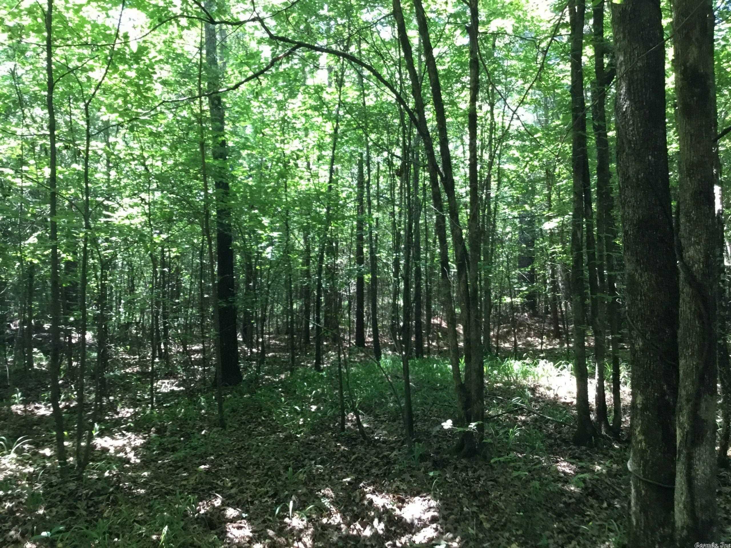 West Little Rock - Land