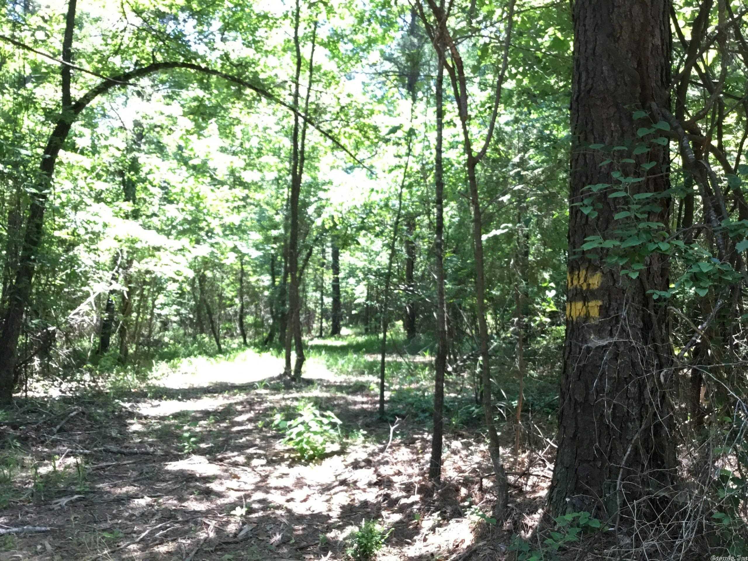 West Little Rock - Land