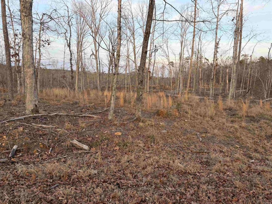 Level, partially cleared and ready for your dream home in Hot Springs Village. Located near the Glazy Peau Gate.  Hot Springs Village residents enjoy 11 lakes, 9 golf courses, miles of trails, and a vibrant social environment—all surrounded by the stunning Ouachita Mountains. Call for your showing today!