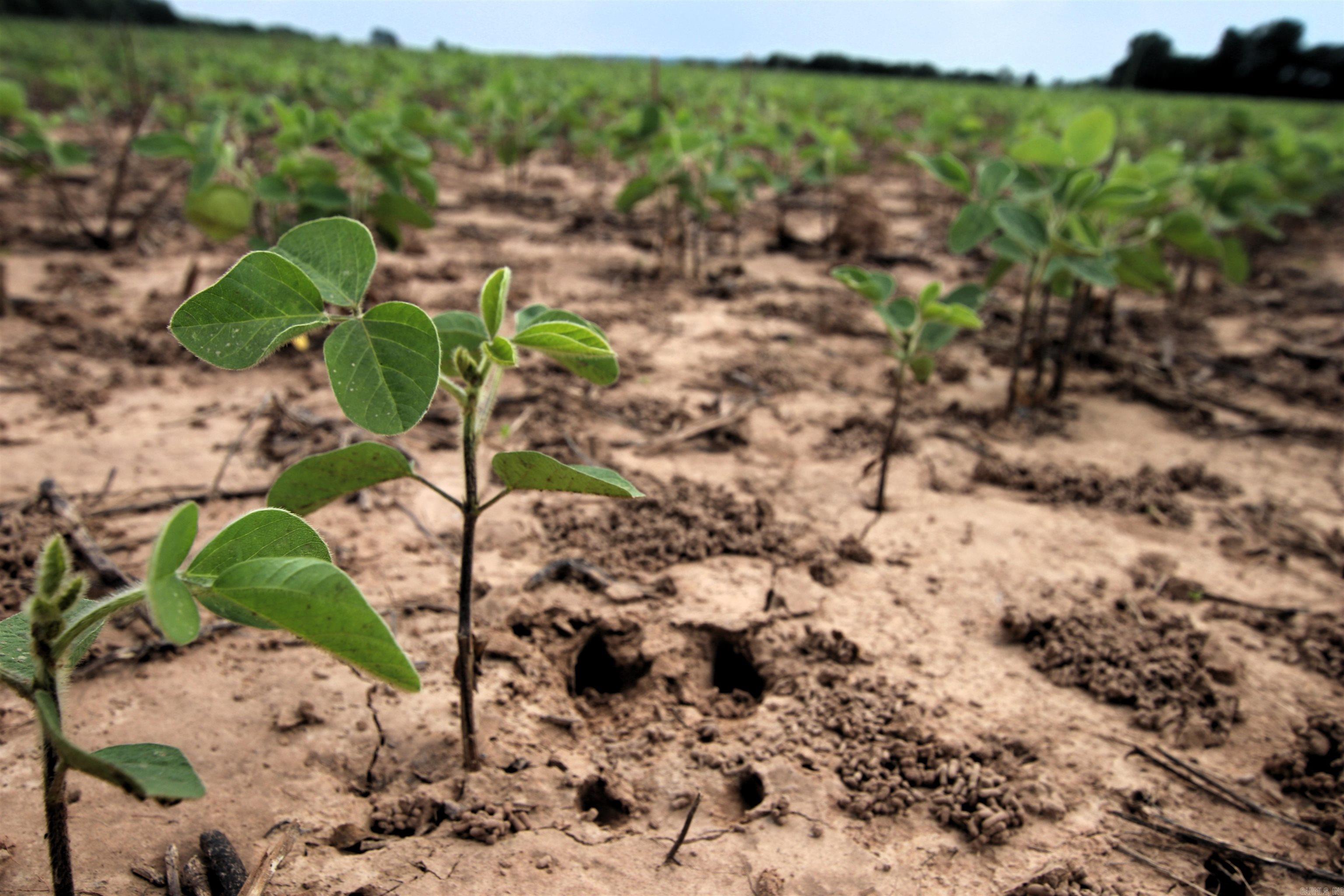 Not in Subdivision - Farm