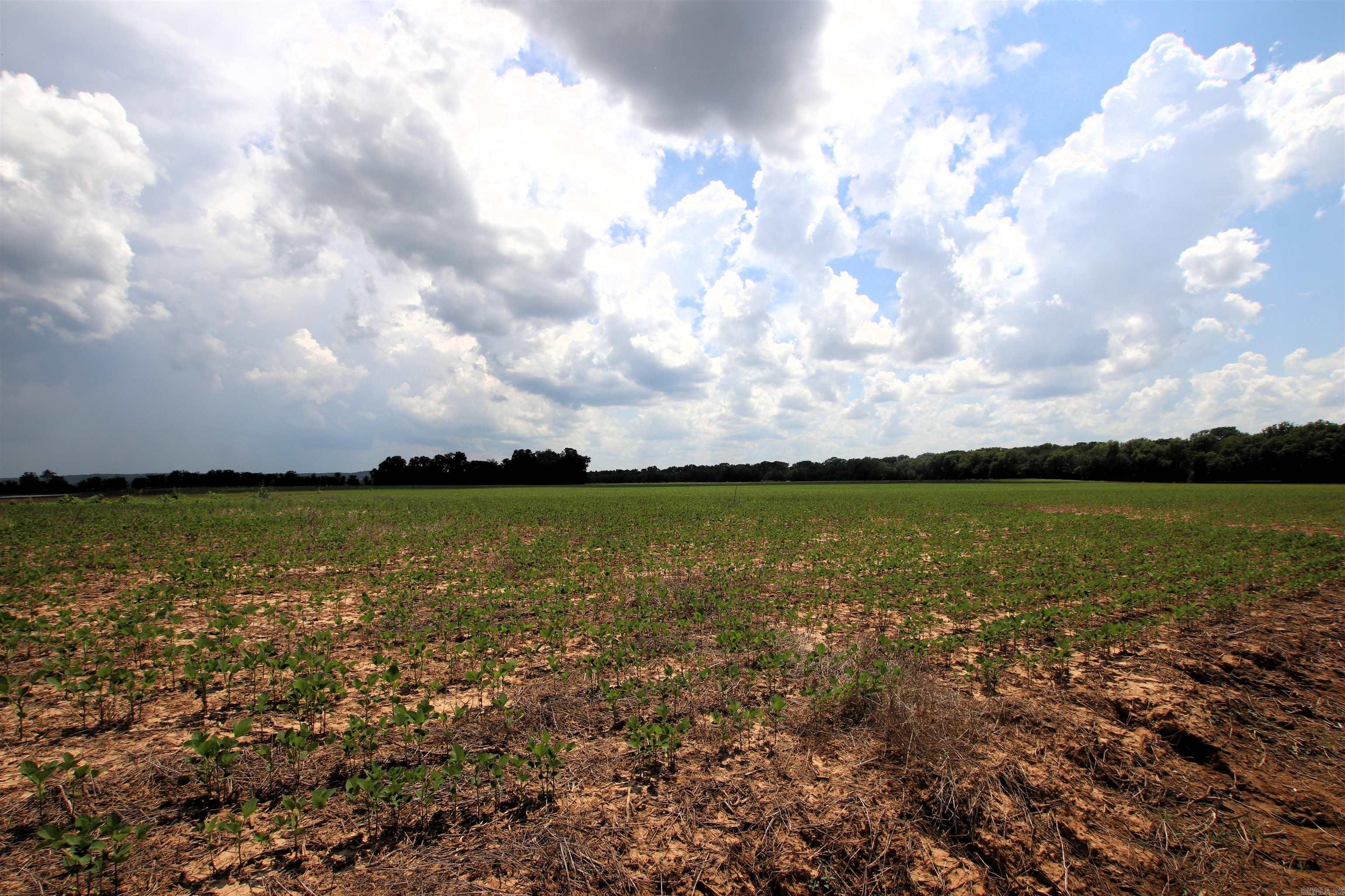 Not in Subdivision - Farm