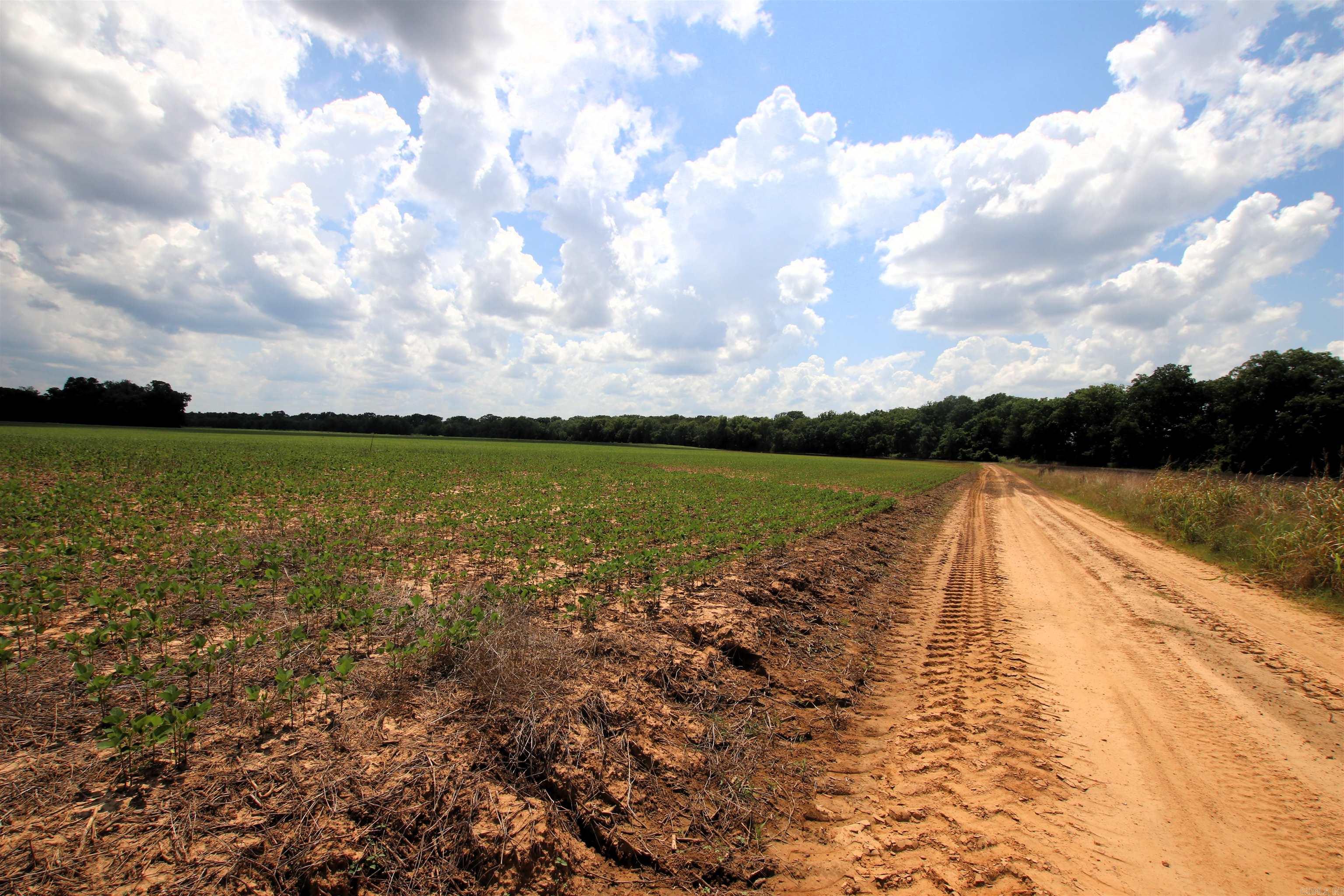 Not in Subdivision - Farm