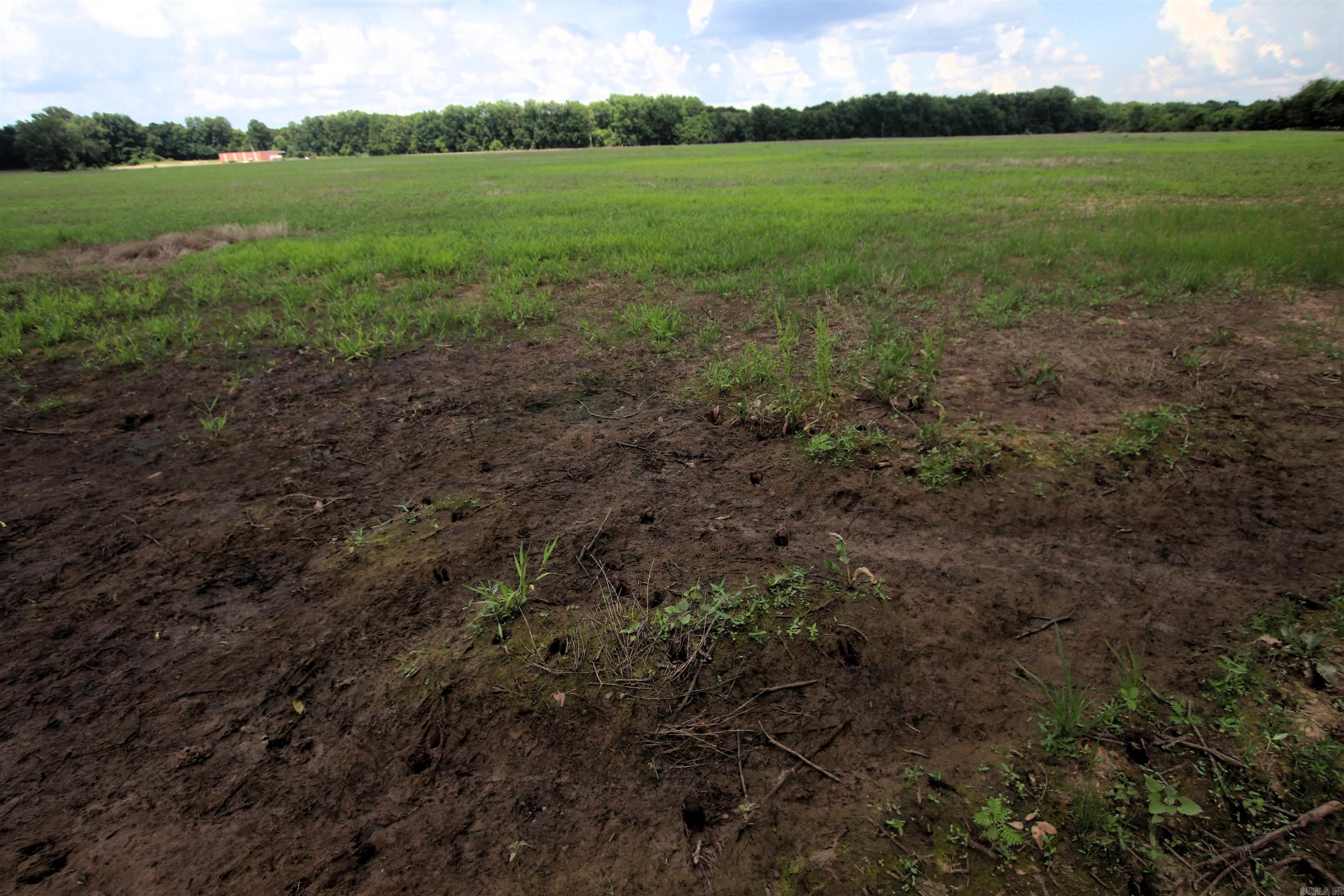 Not in Subdivision - Farm