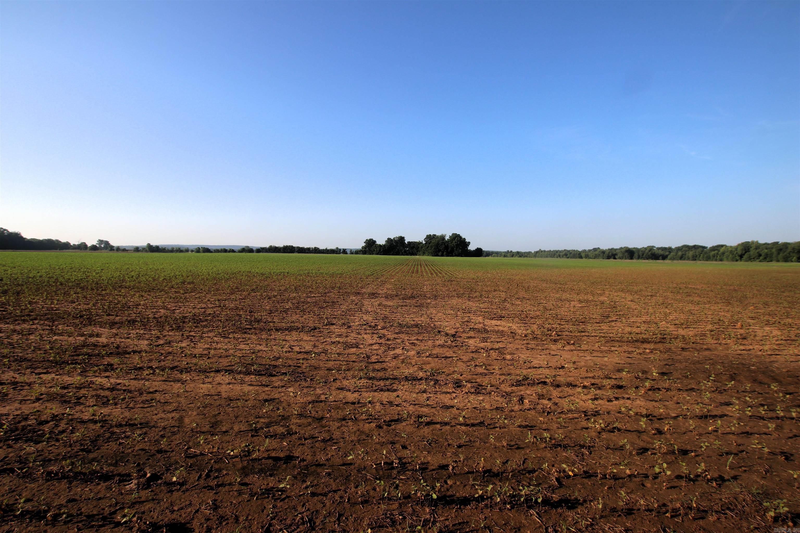 Not in Subdivision - Farm