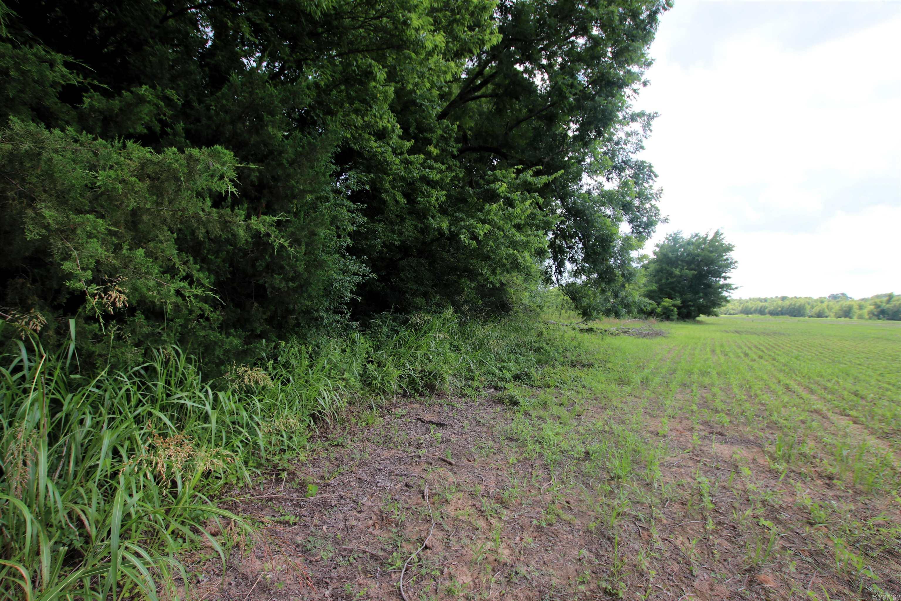 Not in Subdivision - Farm