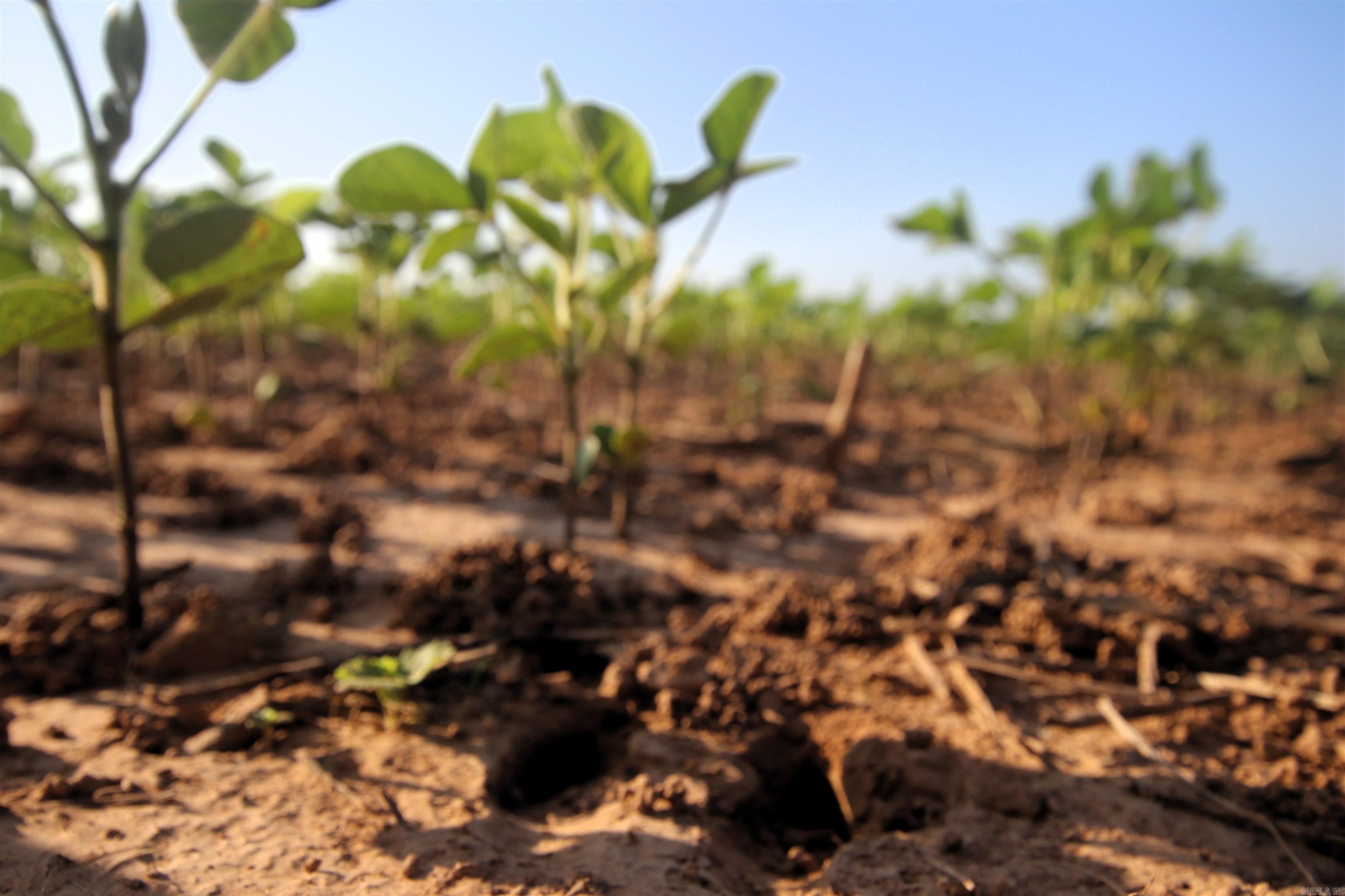 Not in Subdivision - Farm