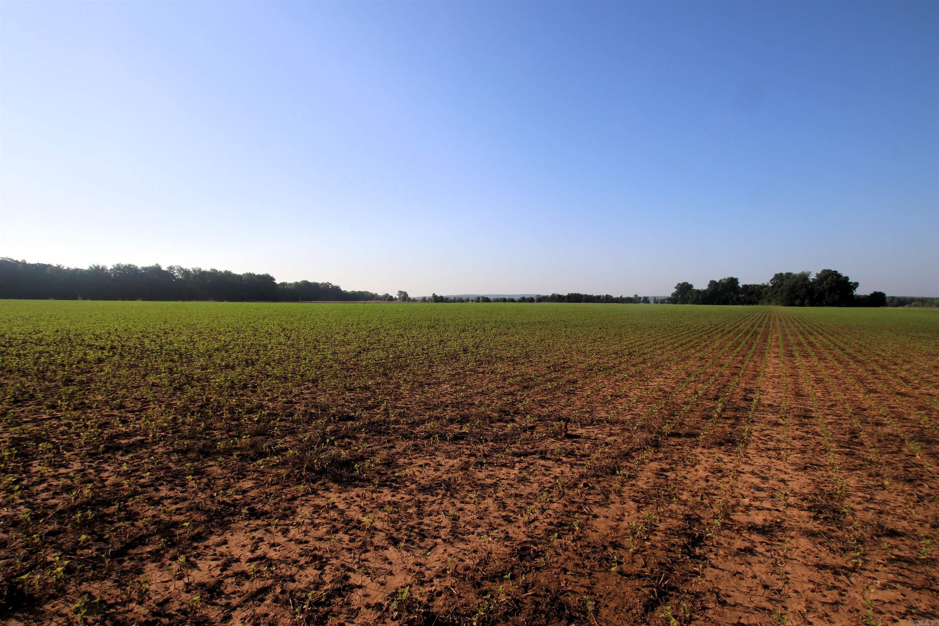 Not in Subdivision - Farm