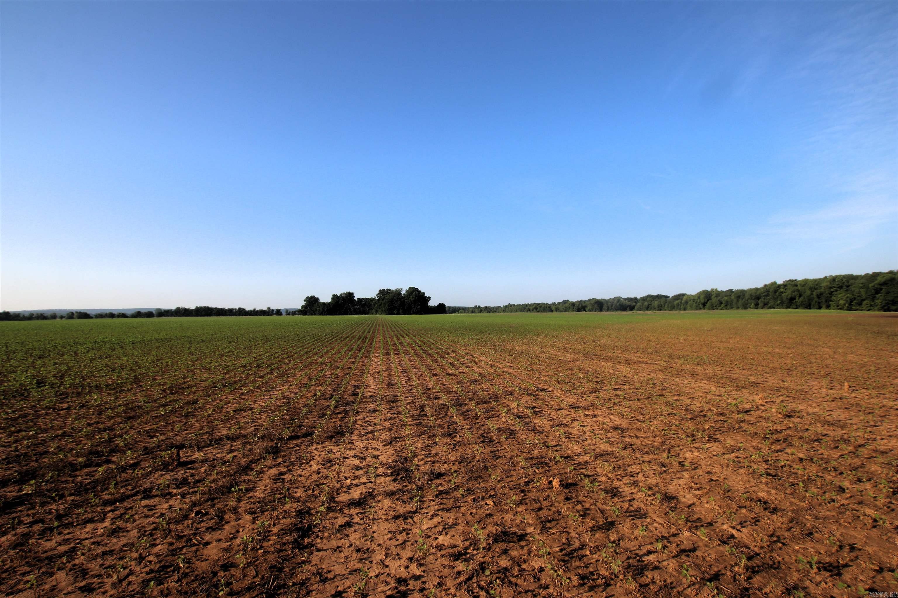 Not in Subdivision - Farm