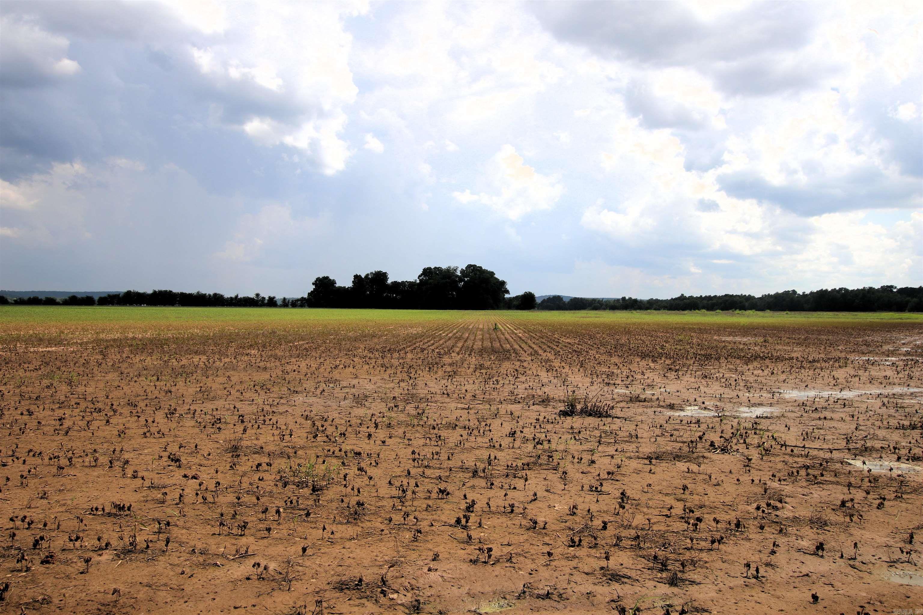 Not in Subdivision - Farm