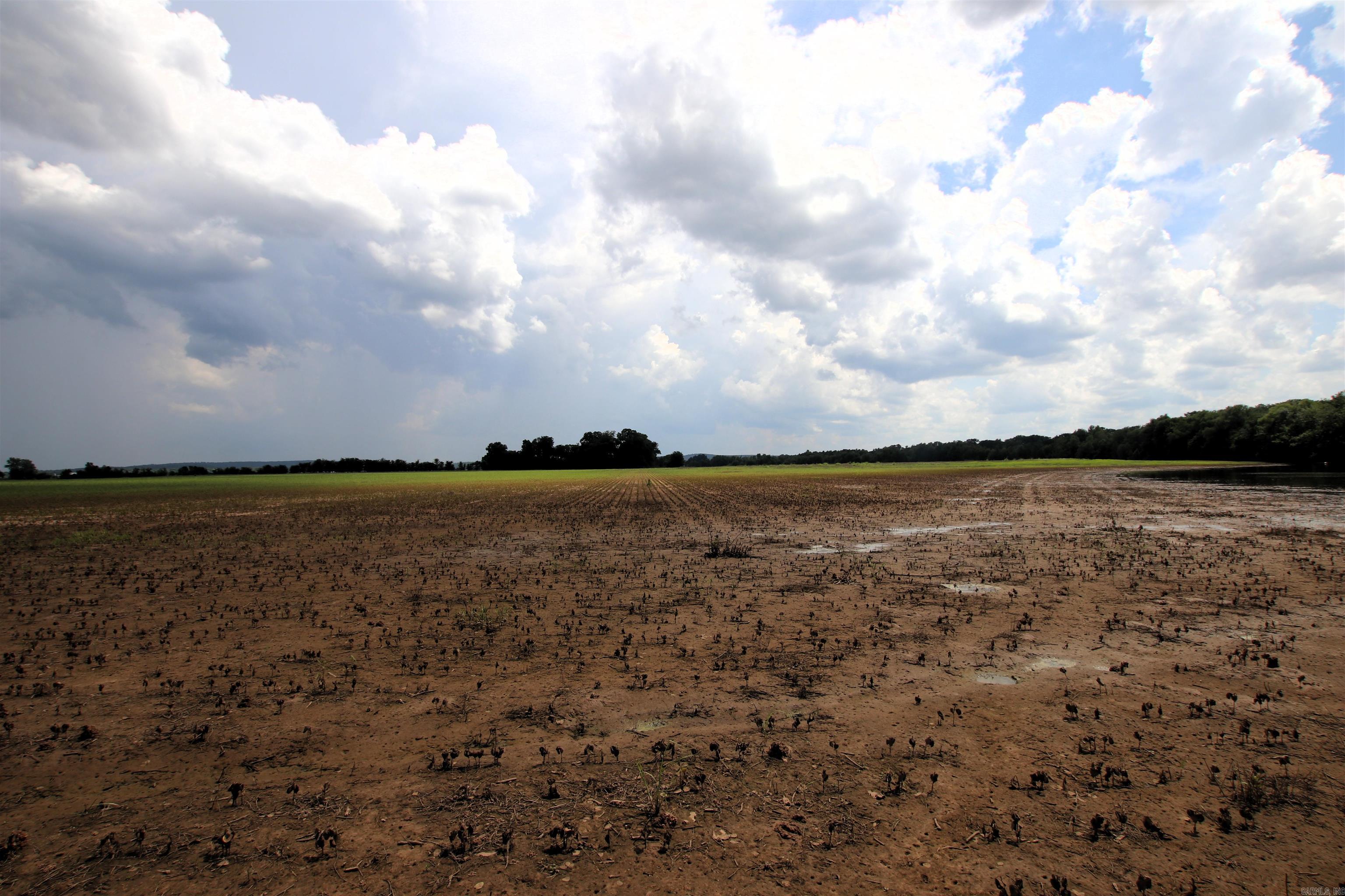 Not in Subdivision - Farm