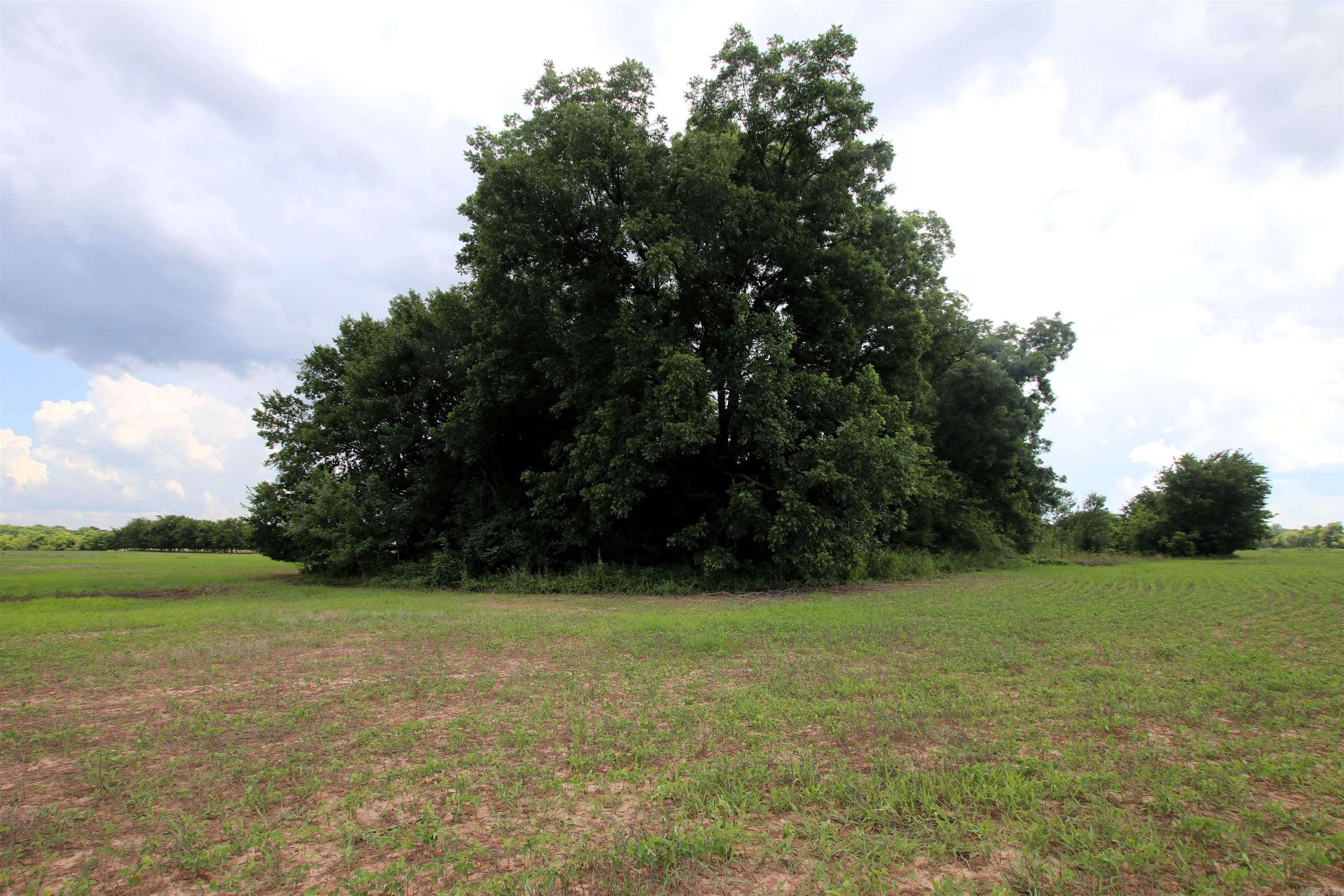 Not in Subdivision - Farm