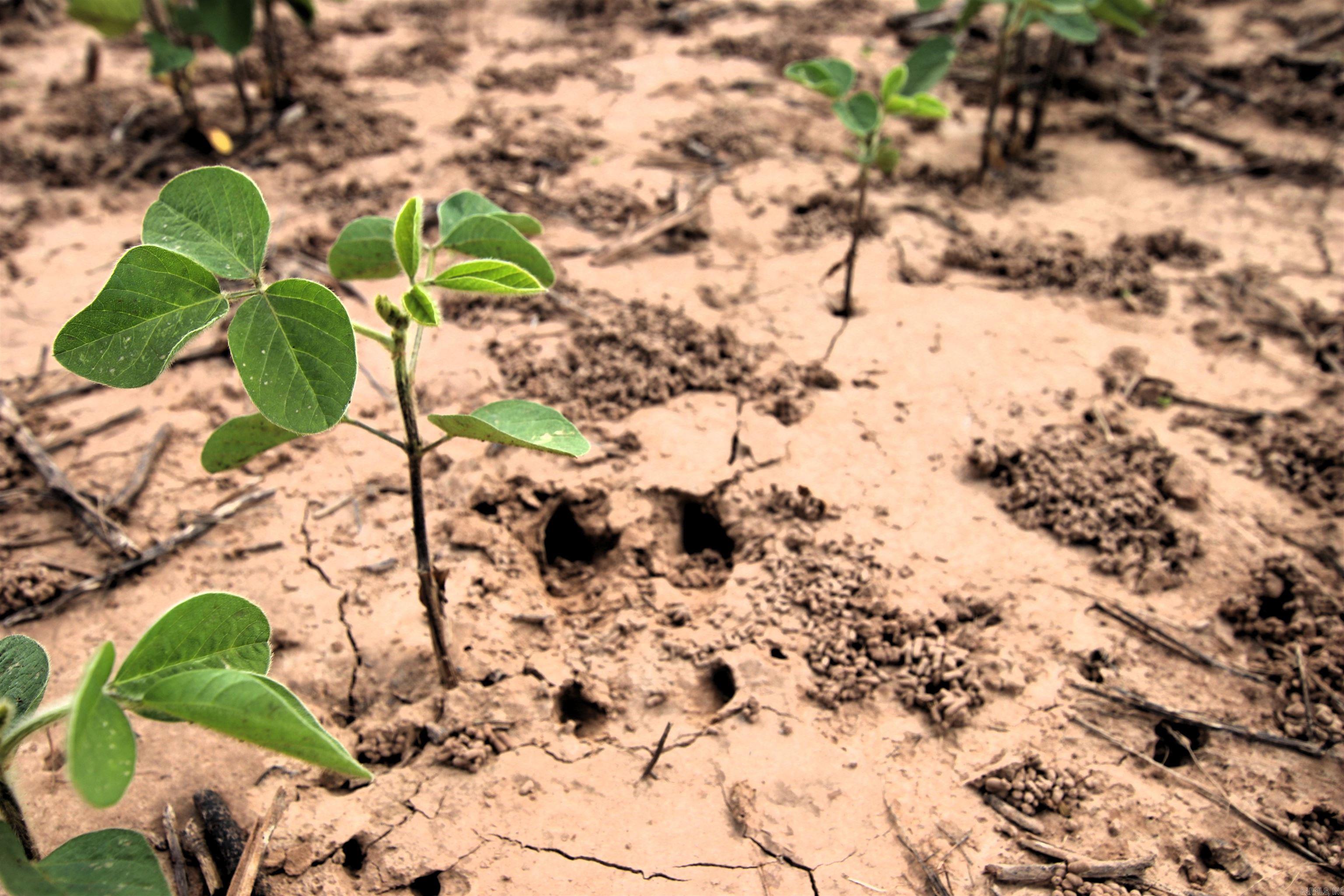 Not in Subdivision - Farm