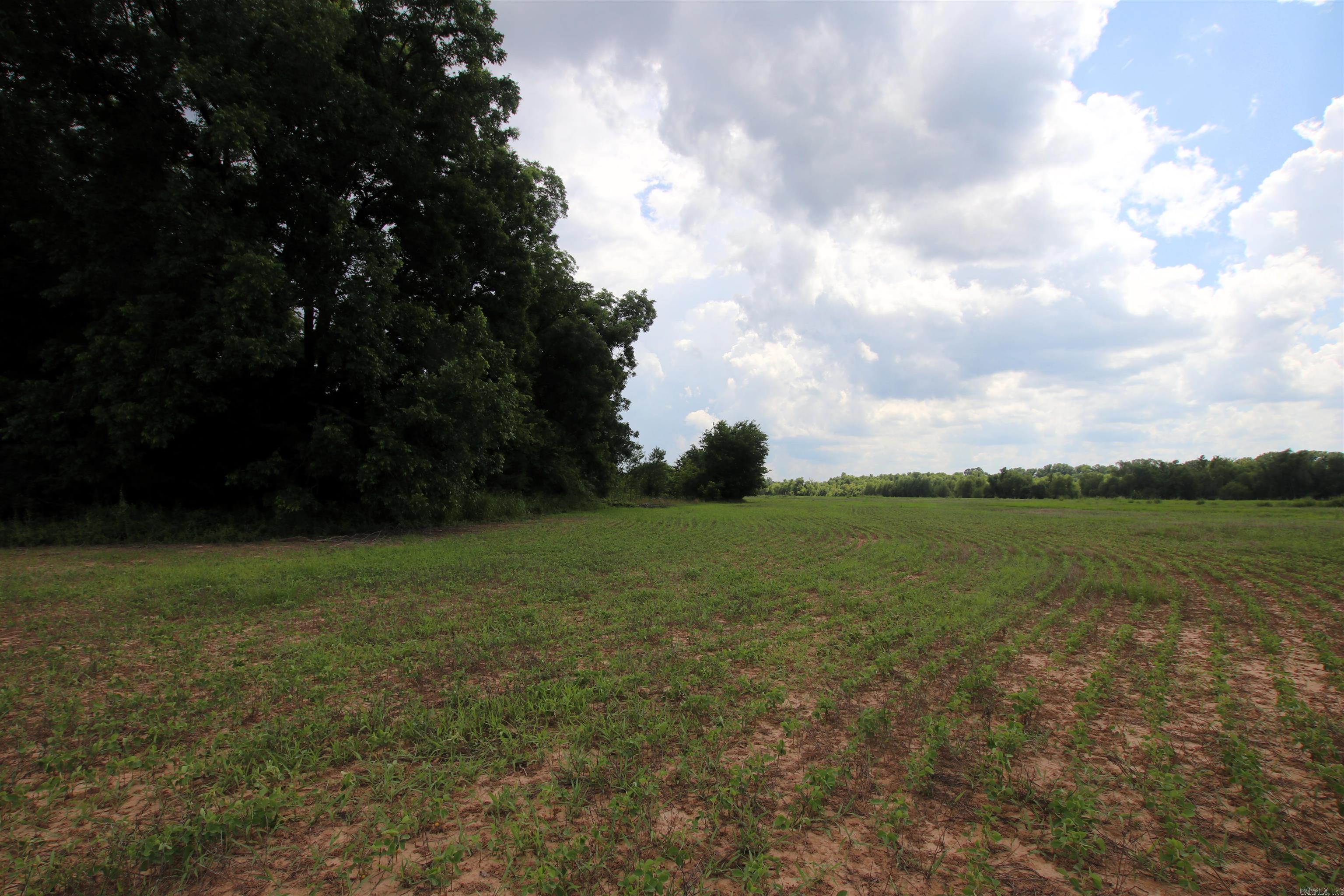 Not in Subdivision - Farm