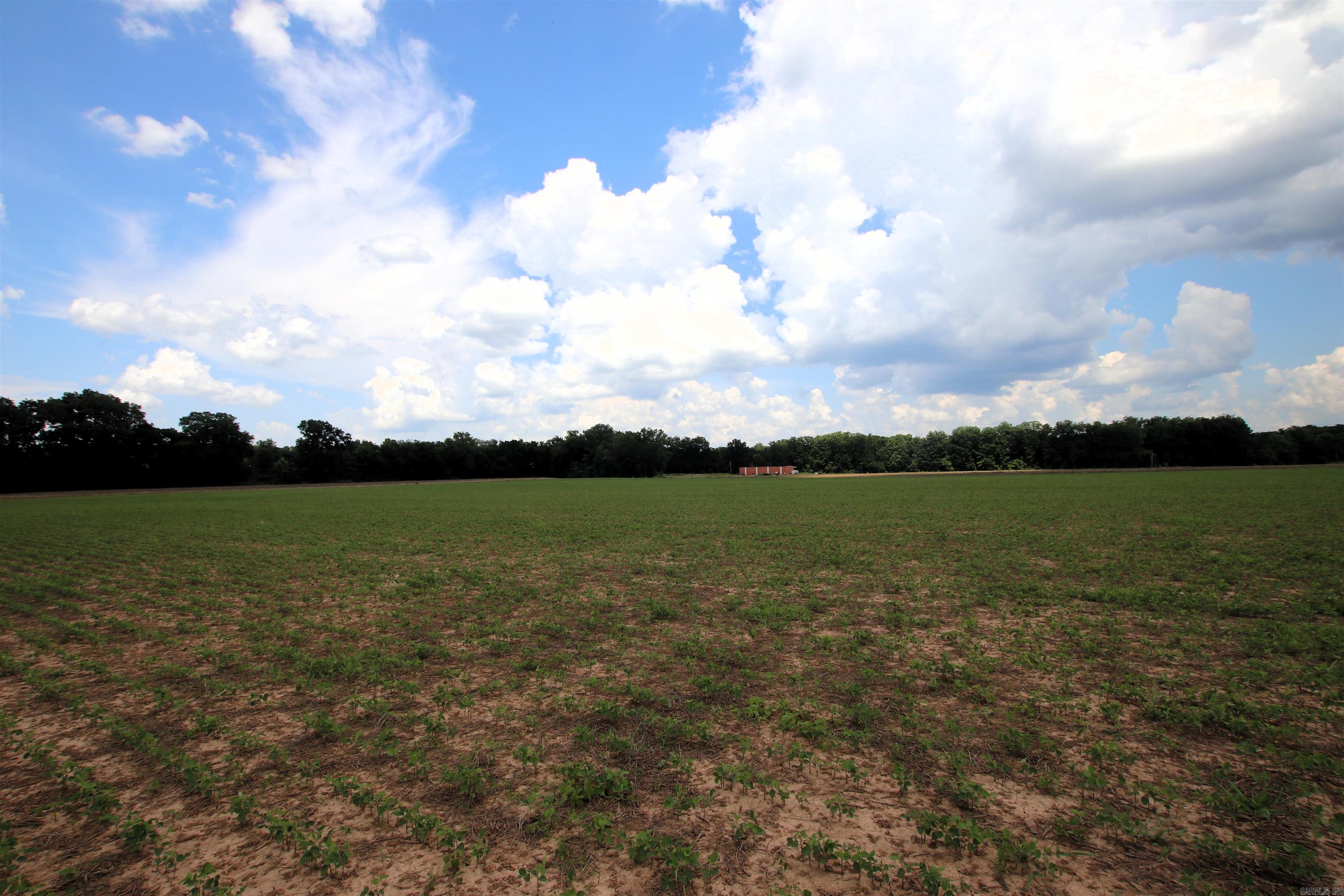 Not in Subdivision - Farm