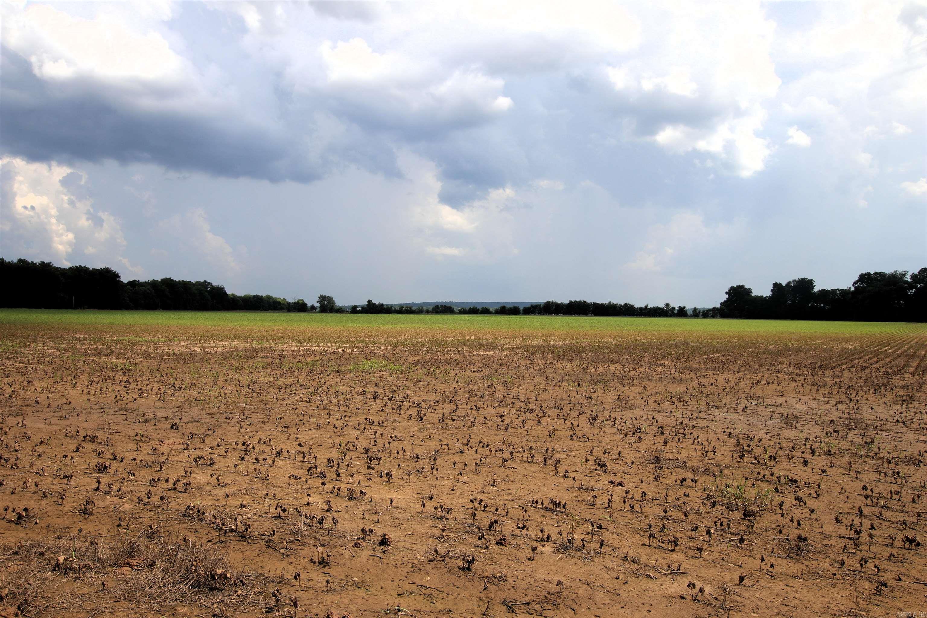 Not in Subdivision - Farm