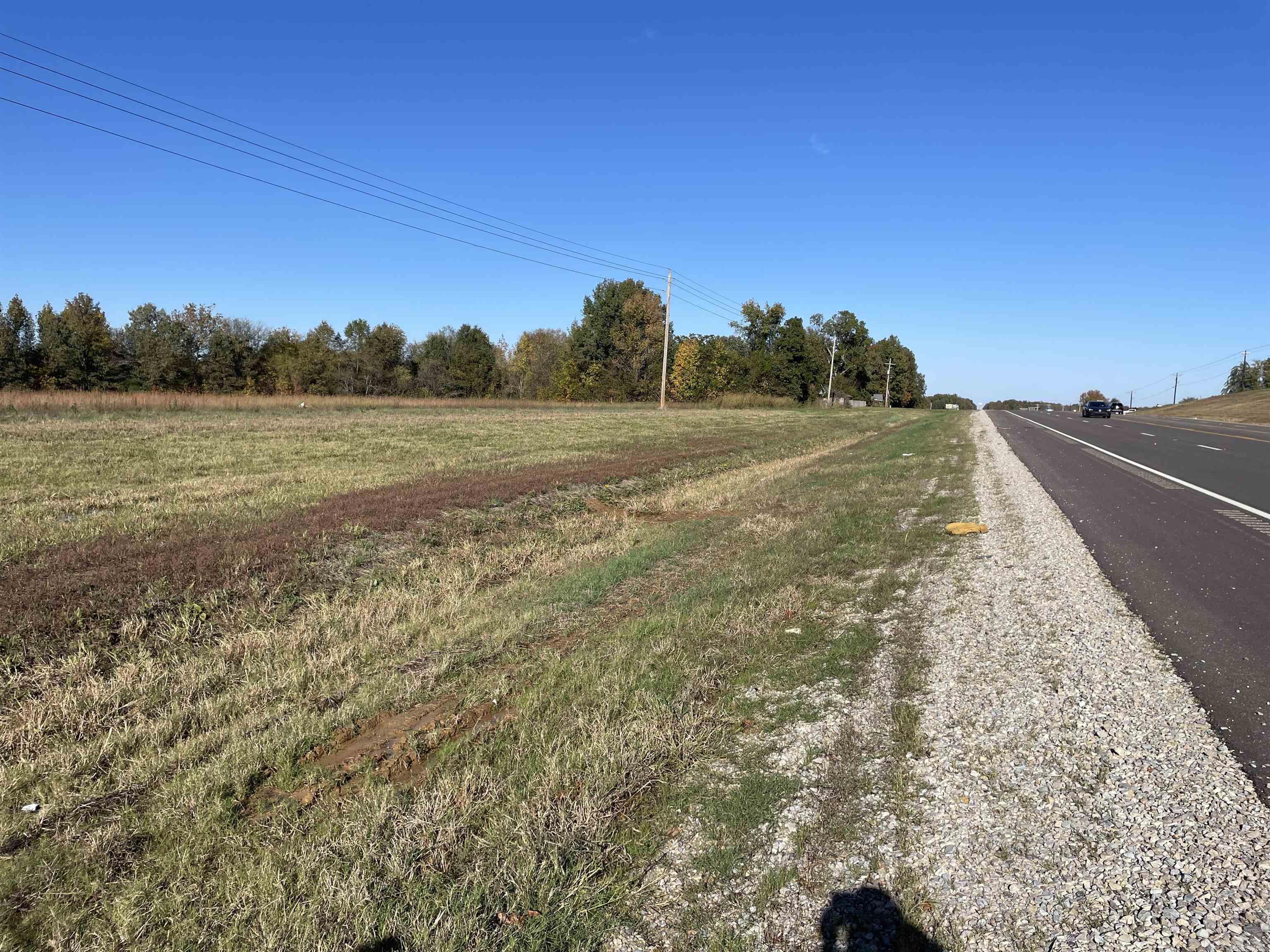 Discover the perfect blend of visibility, accessibility, and potential with this 3-acre tract along the bustling Hwy 49 North corridor. Just minutes from Paragould city limits, this smaller slice of the original 12.3-acre parcel offers excellent frontage and high daily traffic counts, making it ideal for a commercial development or investment hold. Convenient access to utilities and flexible use options make this a rare find in a fast-growing area. Whether you're looking to build now or plan for the future, this tract offers both opportunity and location. Additional acreage available if desired.