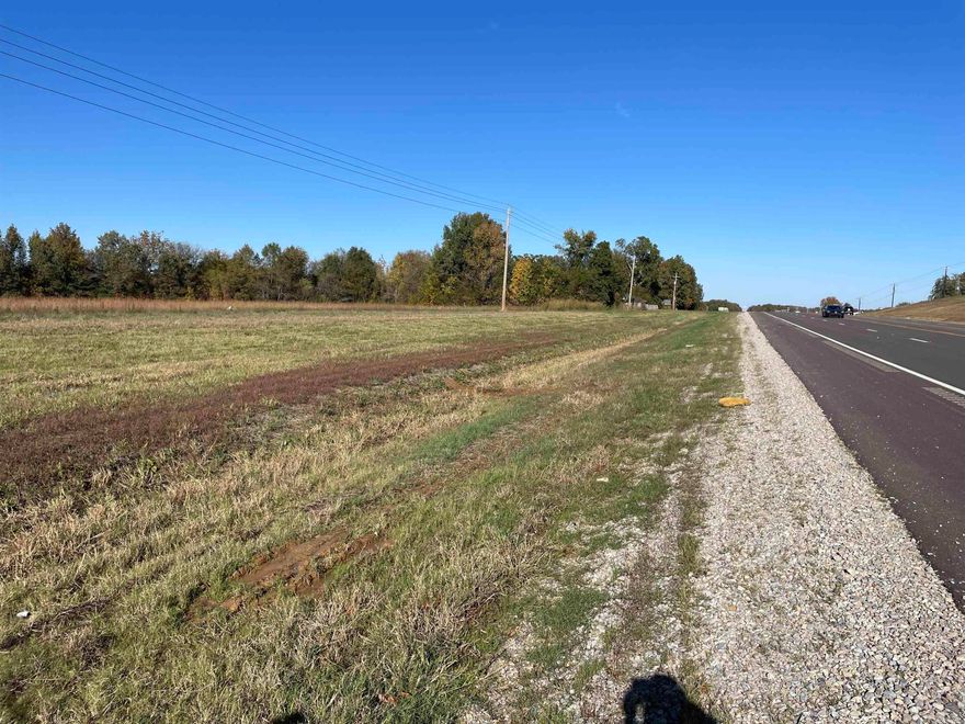 Discover the perfect blend of visibility, accessibility, and potential with this 3-acre tract along the bustling Hwy 49 North corridor. Just minutes from Paragould city limits, this smaller slice of the original 12.3-acre parcel offers excellent frontage and high daily traffic counts, making it ideal for a commercial development or investment hold.  Convenient access to utilities and flexible use options make this a rare find in a fast-growing area. Whether you're looking to build now or plan for the future, this tract offers both opportunity and location.  Additional acreage available if desired.