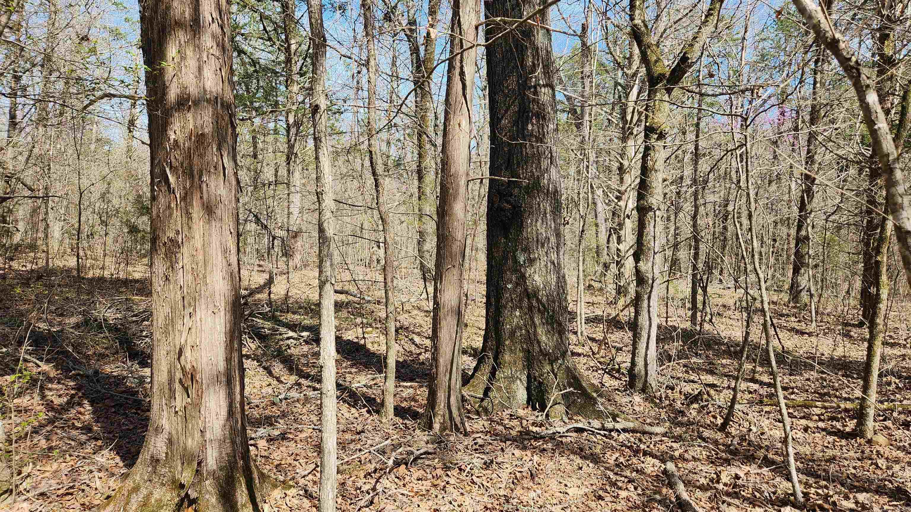 Metes & Bounds - Land