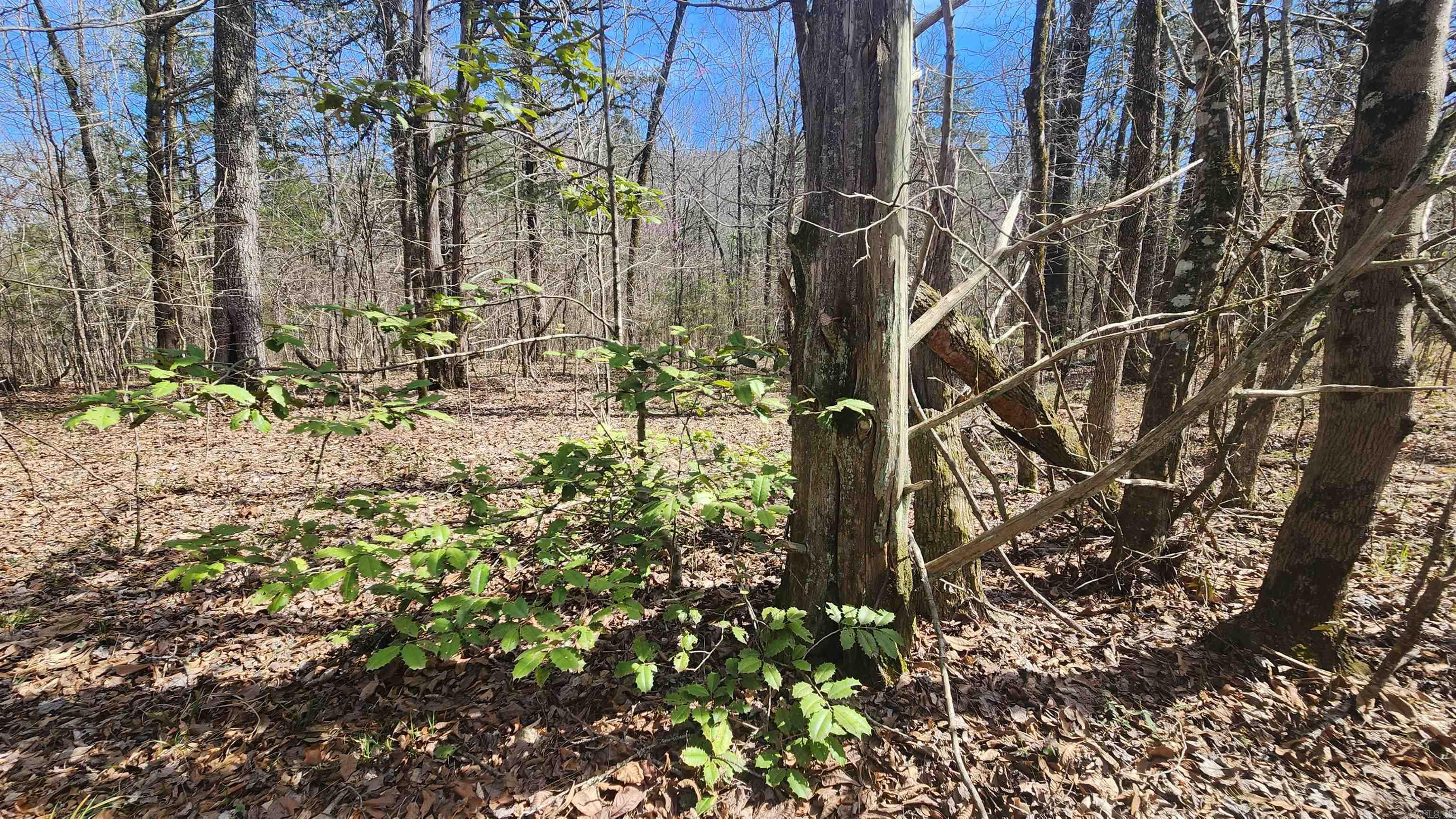 Metes & Bounds - Land