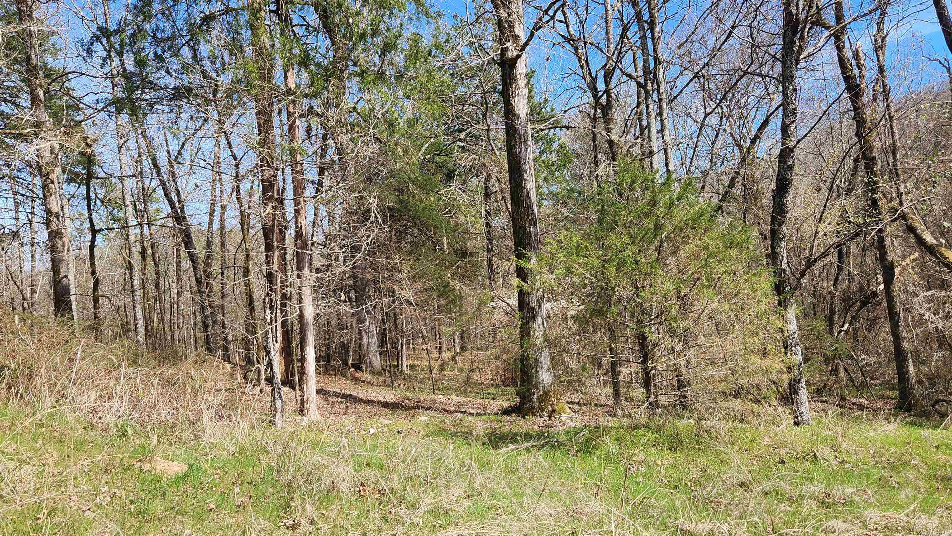 Metes & Bounds - Land