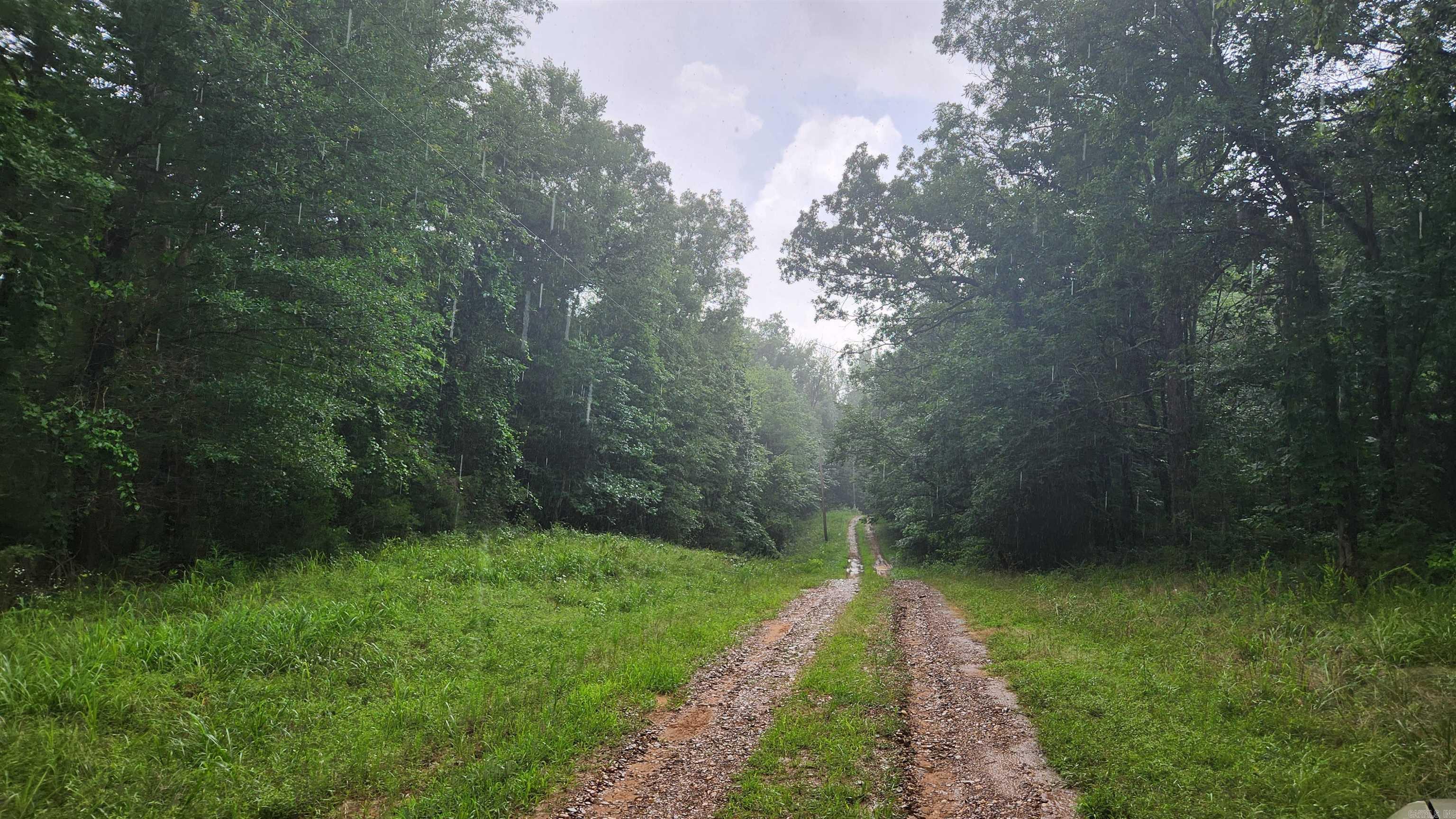 21.8 acres surrounded on 3 sides by Corp/National Forest land. Muddy Creek is within walking distance of this property. There is a survey. There is power on the property. Lake Ouachita access is just down the road. Muddy Creek Wildlife Management Area is about a 4 mile drive. Mostly wooded. A well will need to be drilled and septic installed. Nice view of Vanderslice Mountain.