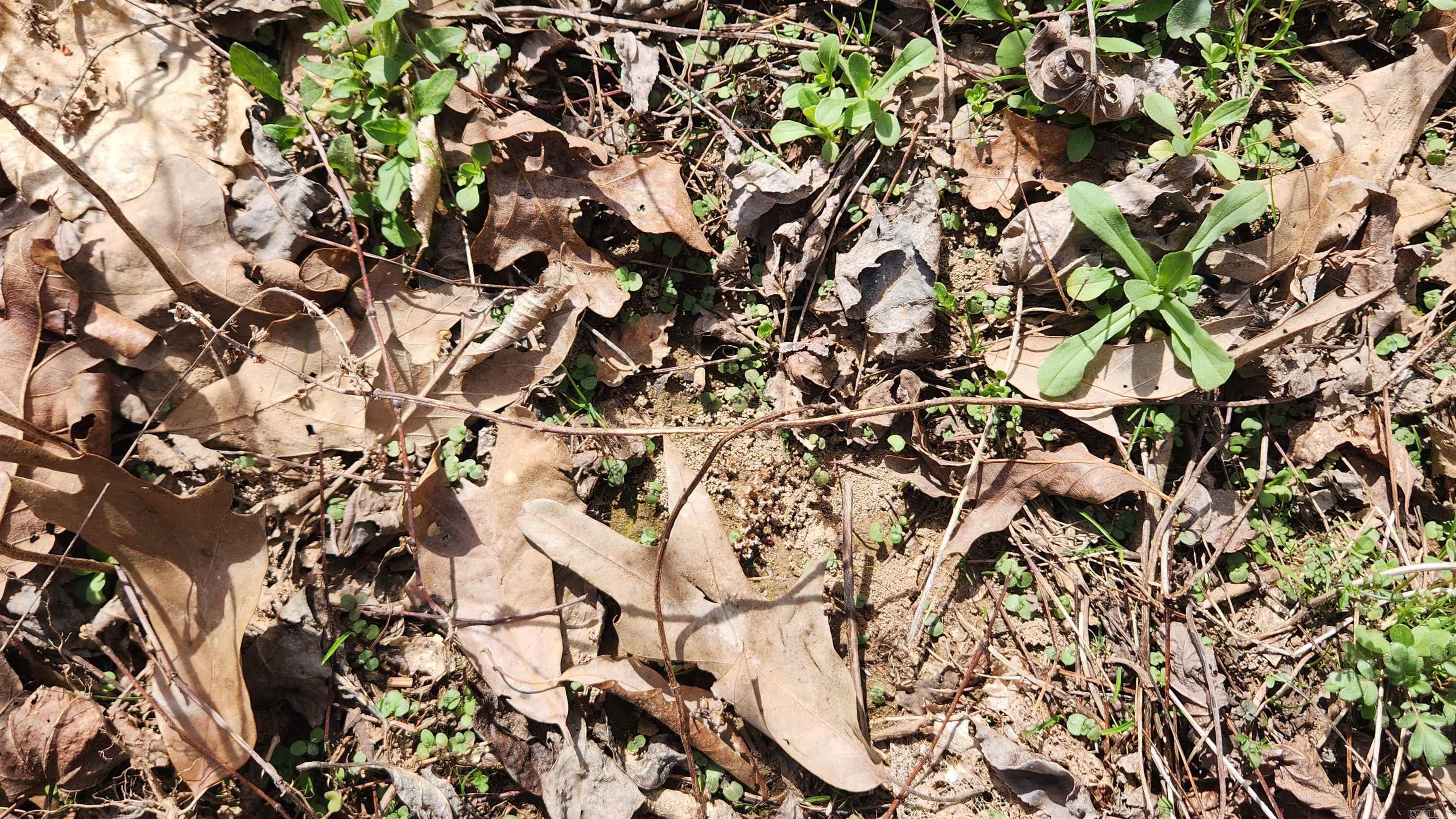 Metes & Bounds - Land