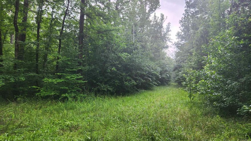 21.8 acres surrounded on 3 sides by Corp/National Forest land. Muddy Creek is within walking distance of this property. There is a survey. There is power on the property. Lake Ouachita access is just down the road. Muddy Creek Wildlife Management Area is about a 4 mile drive.  Mostly wooded. A well will need to be drilled and septic installed. Nice view of Vanderslice Mountain.