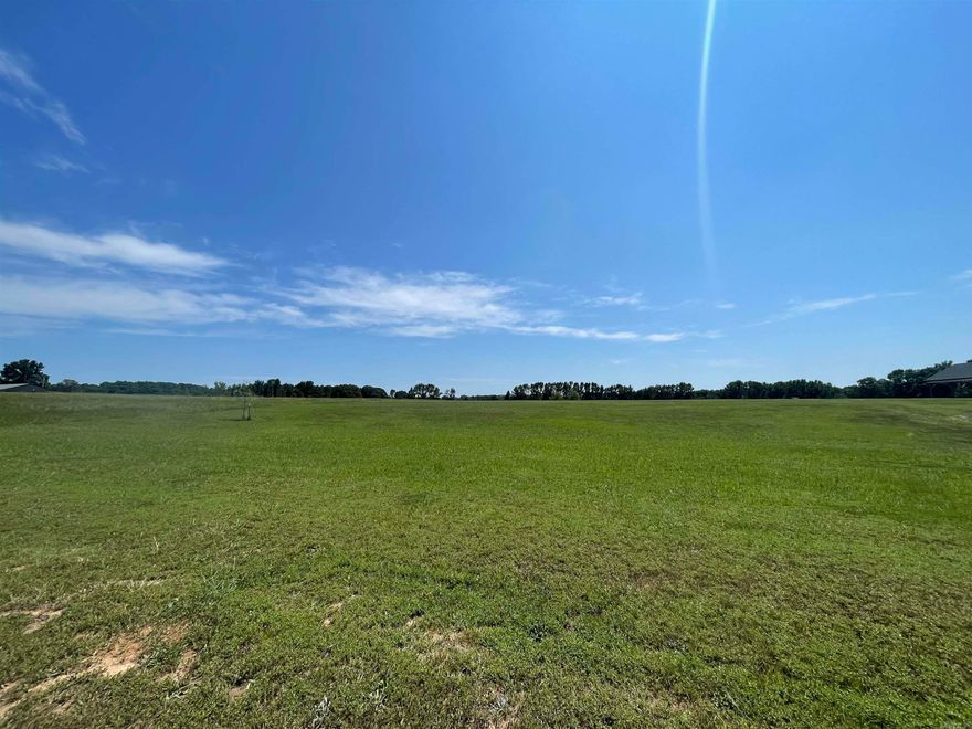 Looking to build your dream home? 2.5 acres in Cabot School district. Beautiful rolling farmland in an area of new homes, level spot to build, electricity and city water at the road. Paved road and high-speed internet available! Just 10 minutes to Walmart and shopping. Don't miss this one!